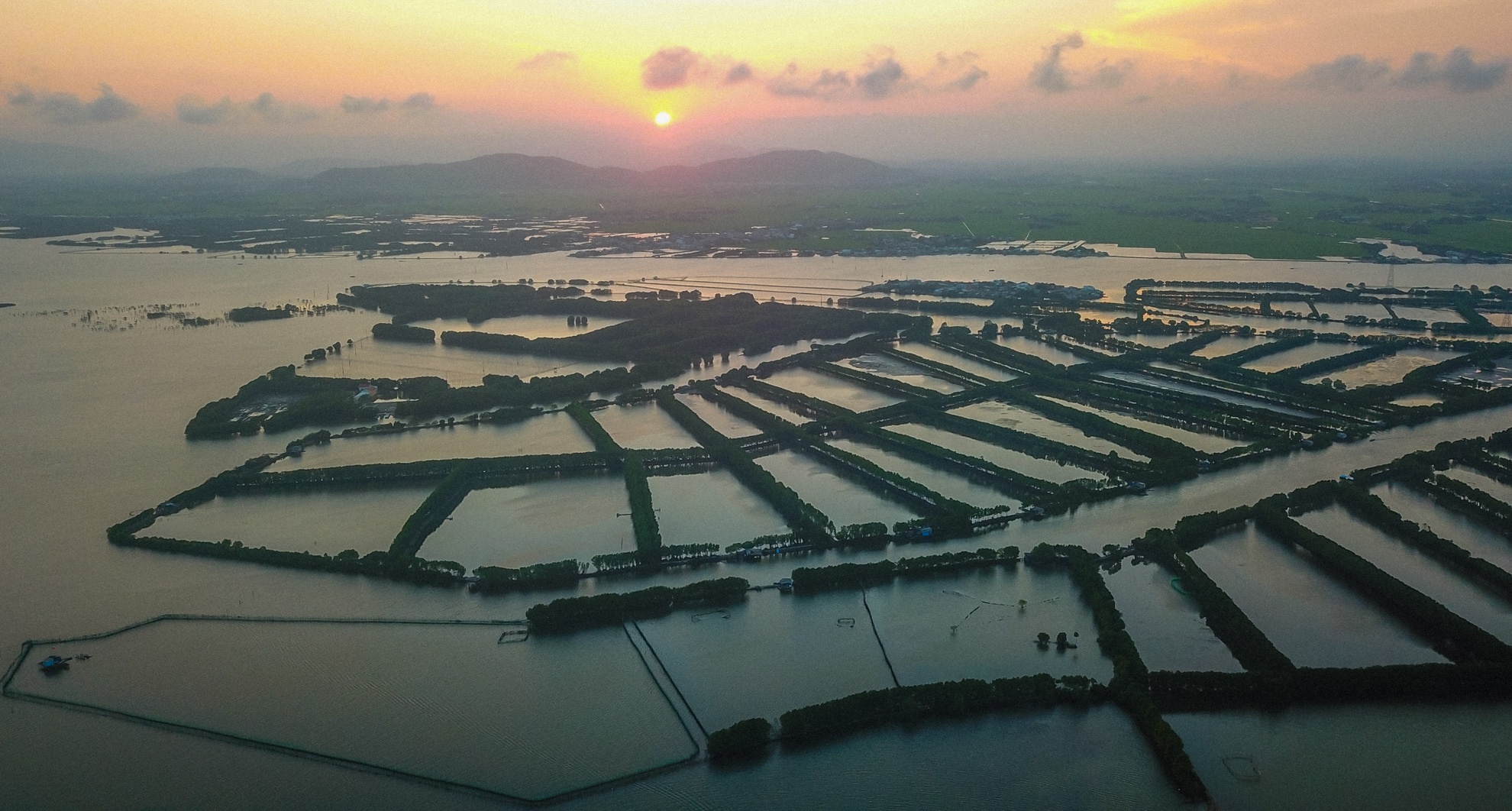 Con chim sinh thai Binh Dinh anh 16