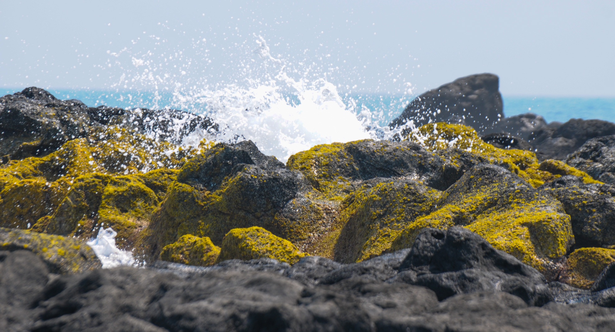 Mua reu xanh o Quang Ngai anh 9