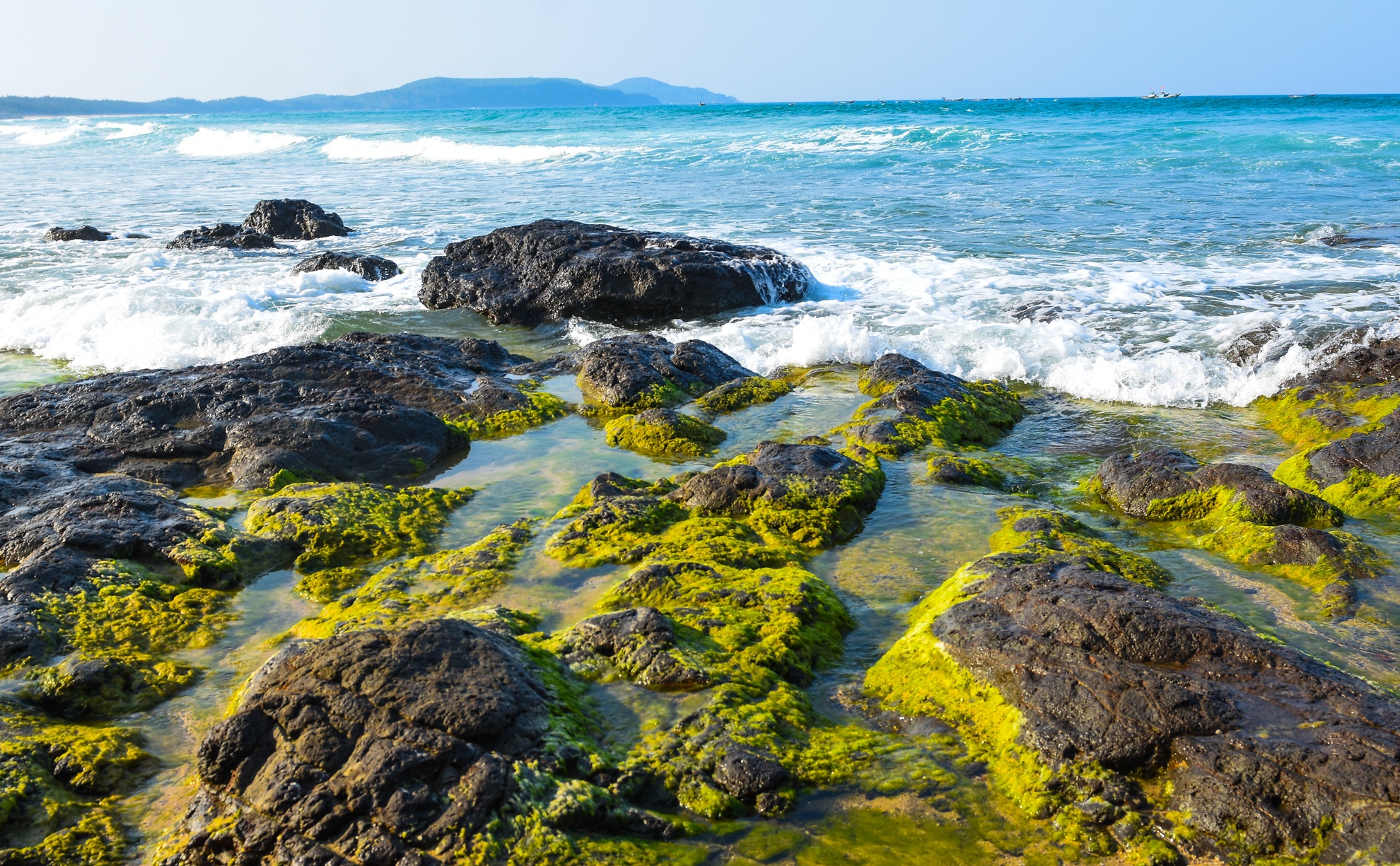 Mua reu xanh o Quang Ngai anh 5