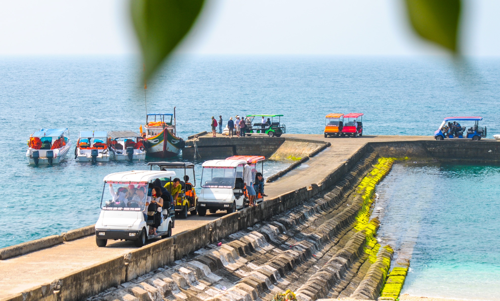 Mua reu xanh o Quang Ngai anh 8