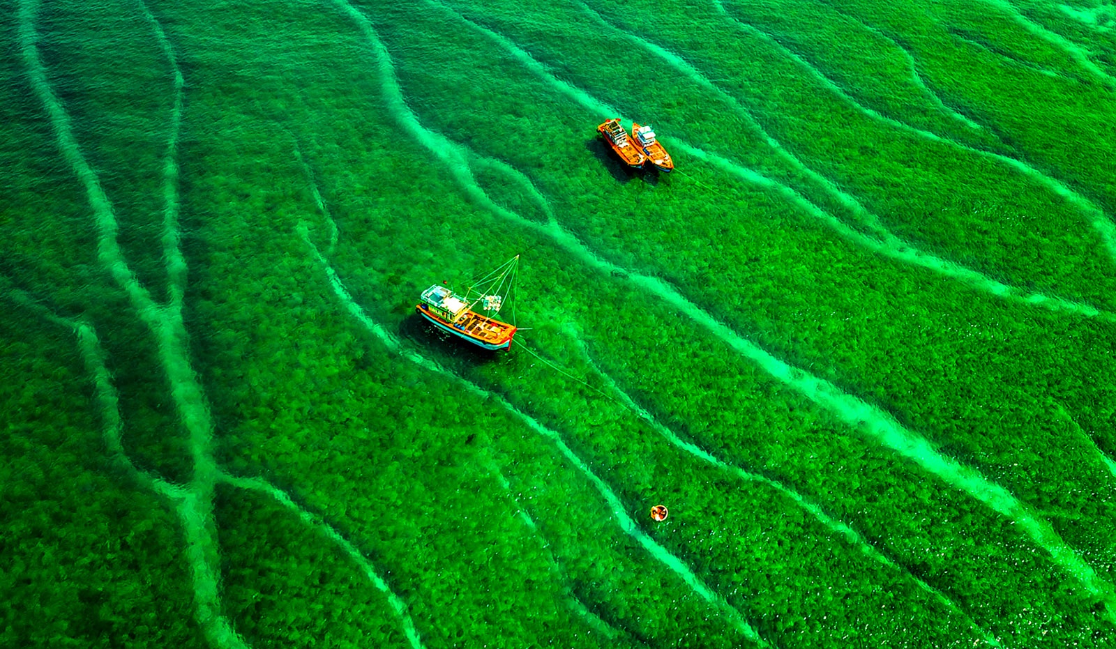 'Bai reu co tich' hut du khach kham pha tram tich nui lua Quang Ngai hinh anh