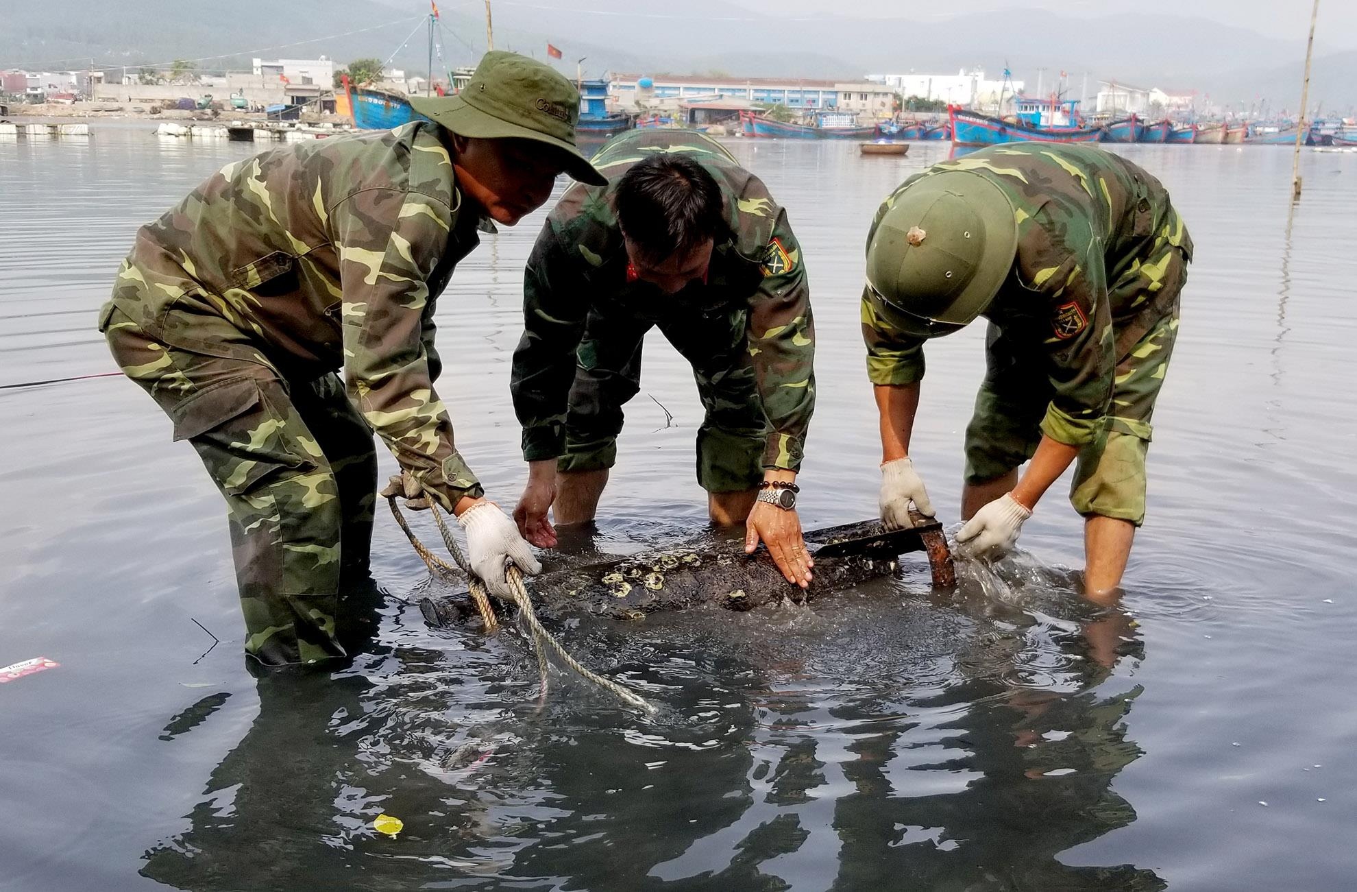 Tieu huy ngu loi duoc phat hien ven bien Quang Ngai hinh anh
