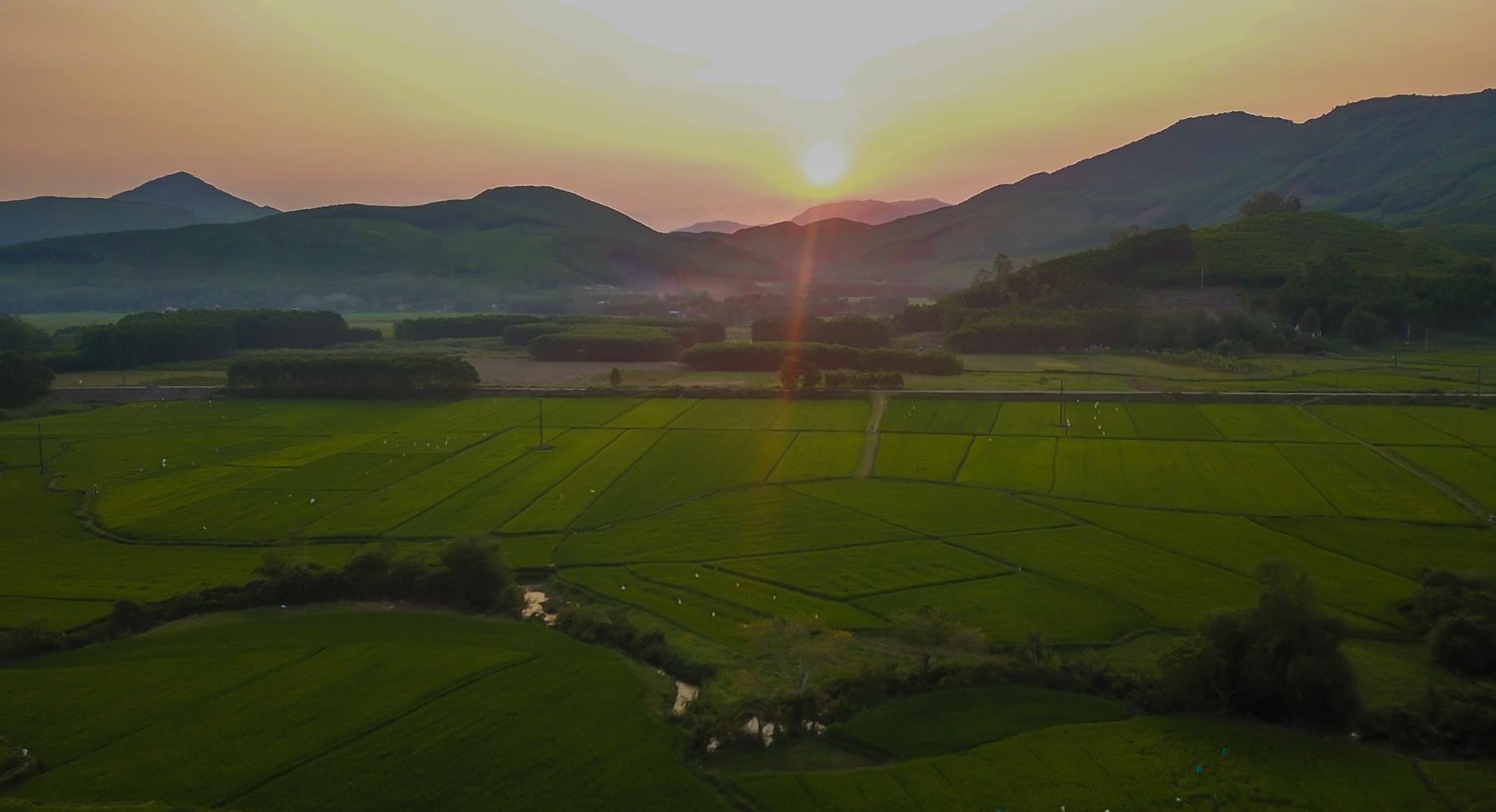 Me hoac dong lua bac thang mien Trung anh 10