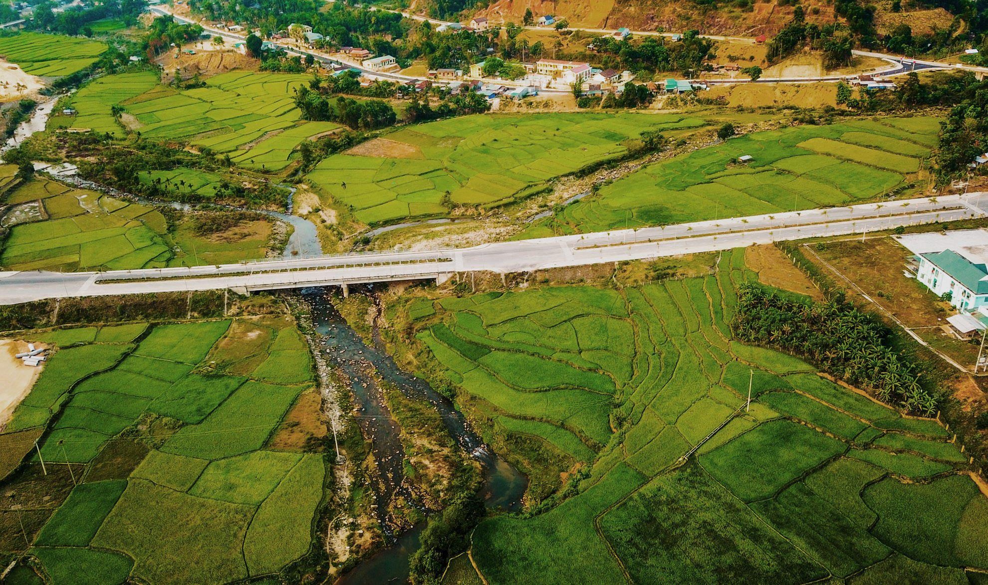 Me hoac dong lua bac thang mien Trung anh 4