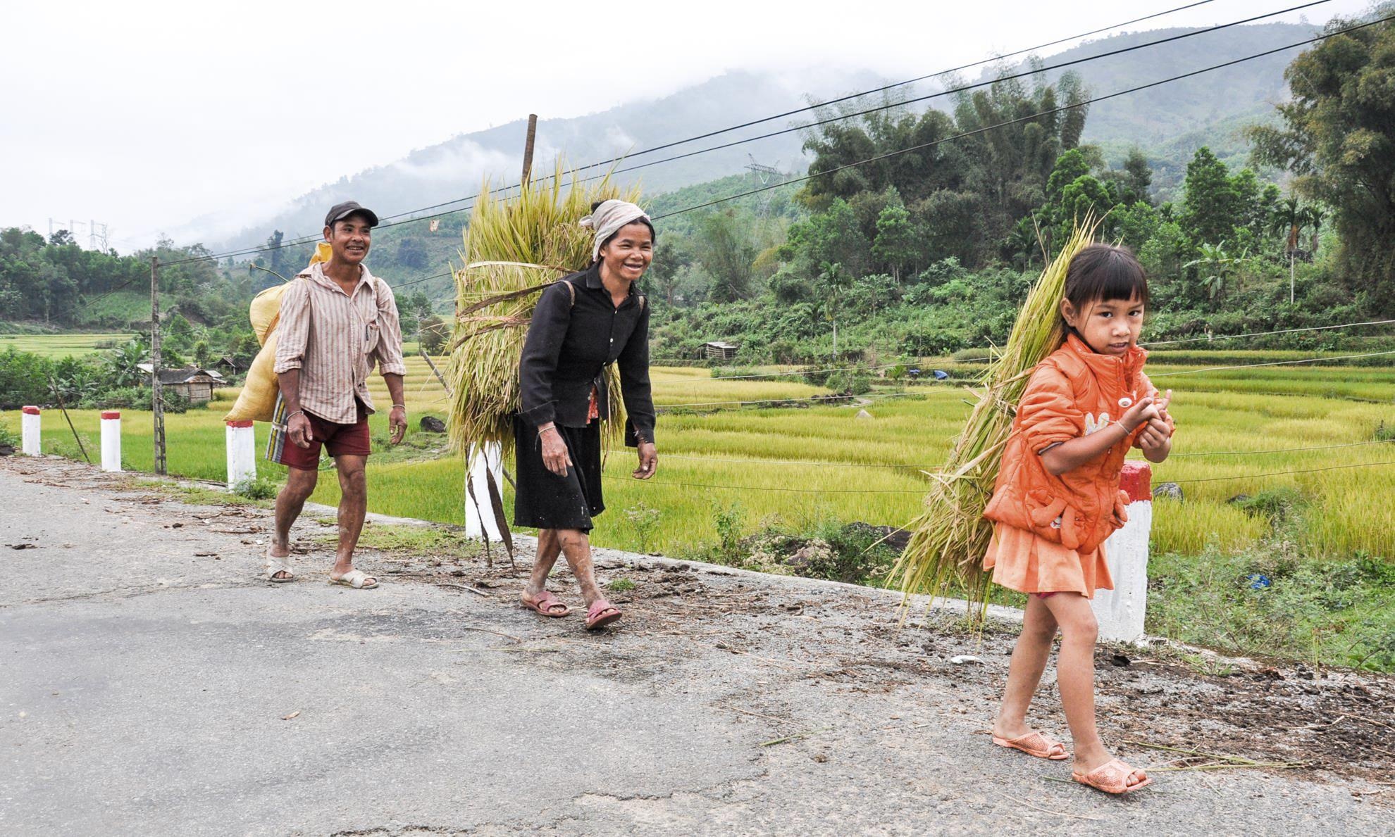 Me hoac dong lua bac thang mien Trung anh 5