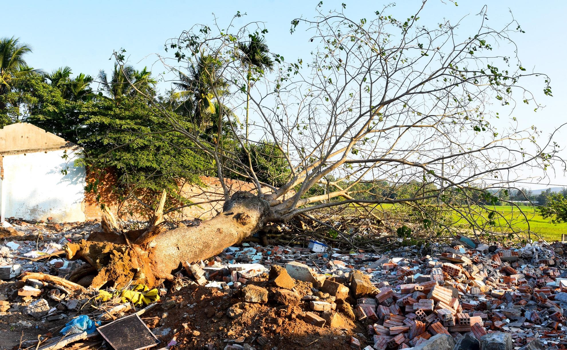 Mo rong loc dau Dung Quat anh 13