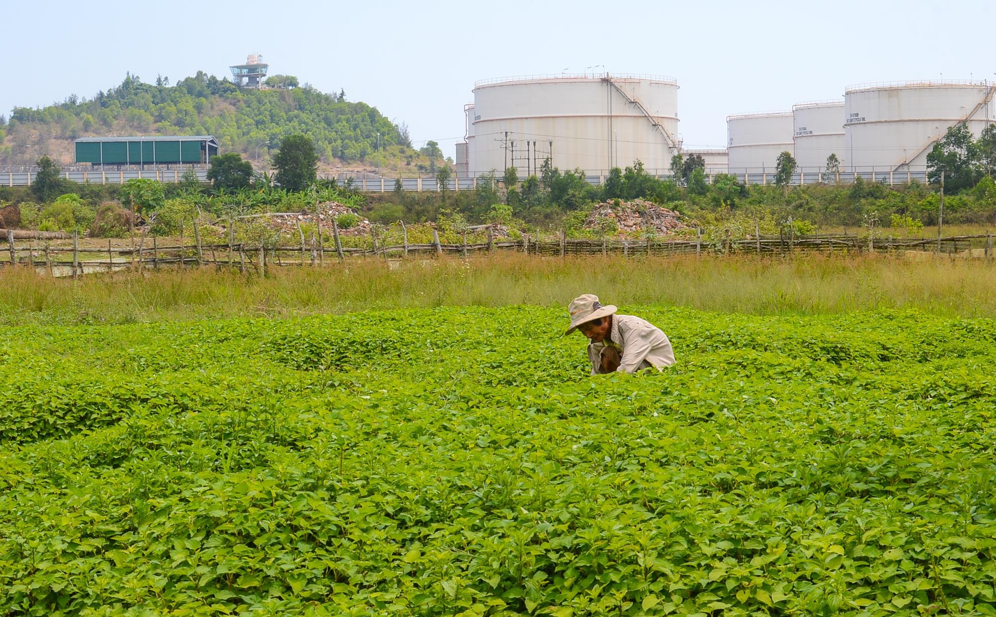 Mo rong loc dau Dung Quat anh 12