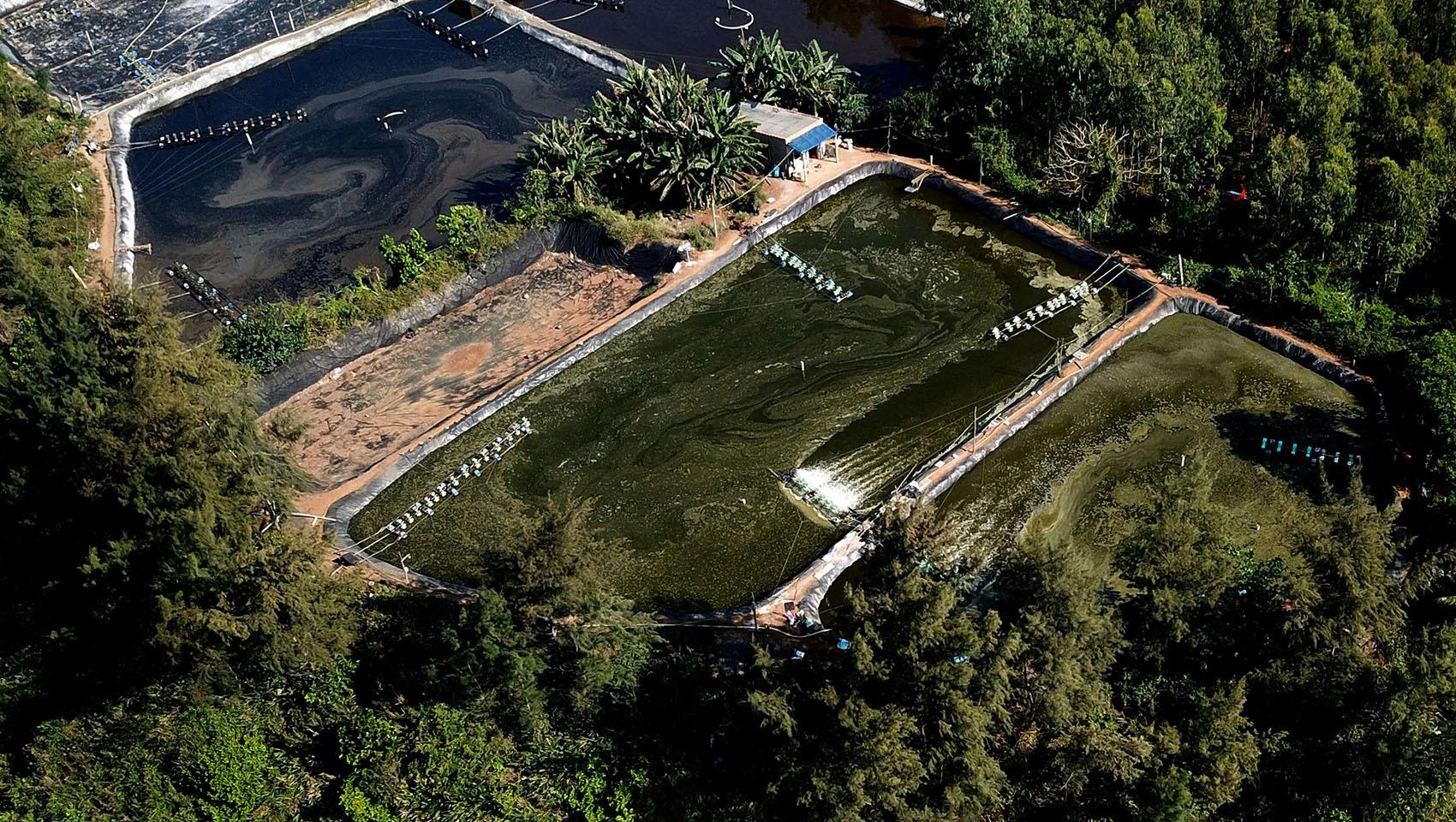 Bien Quang Ngai bi xam hai do ho tom tu phat xa thai hinh anh