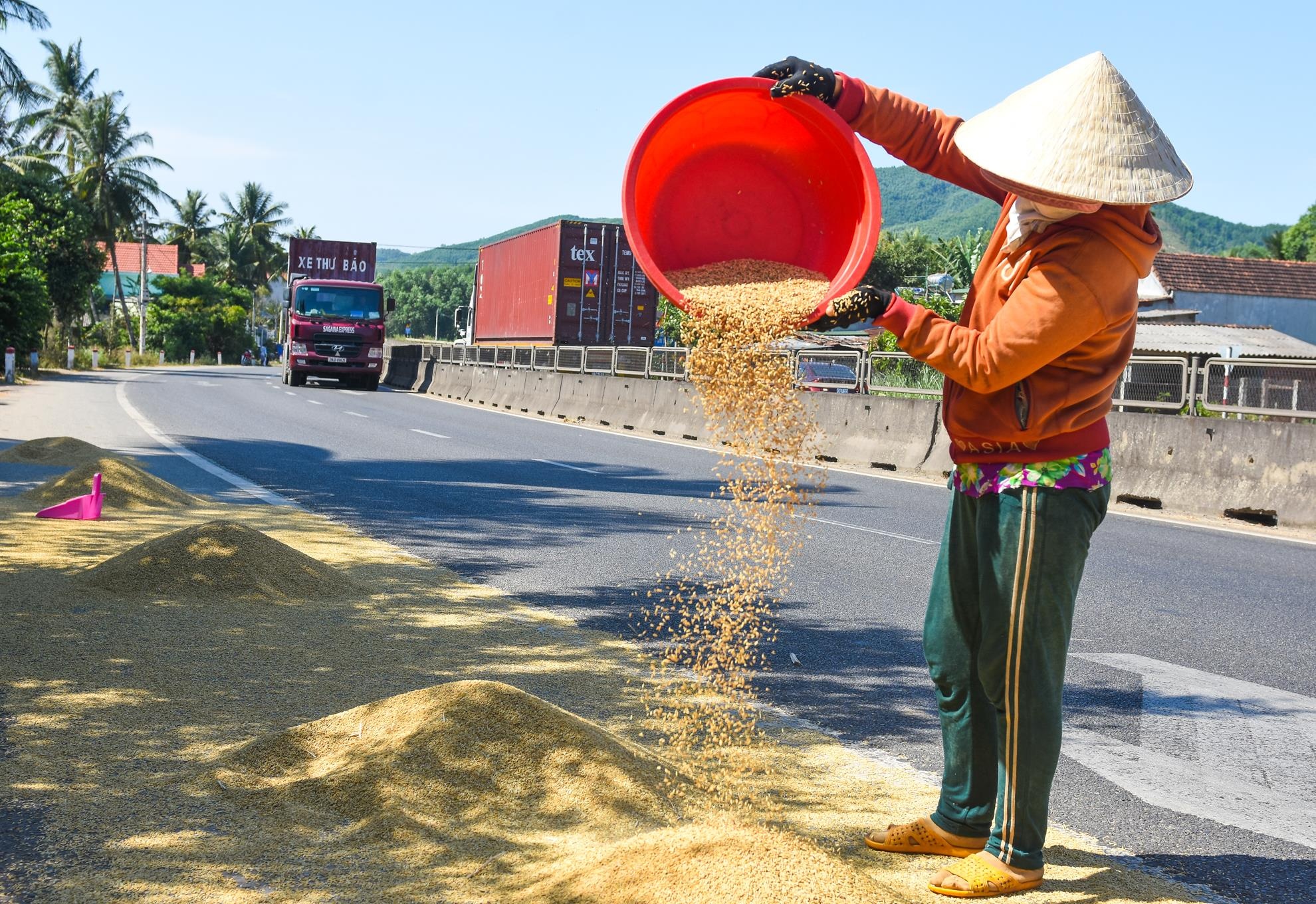 Phoi lua tran lan quoc lo 1a anh 7