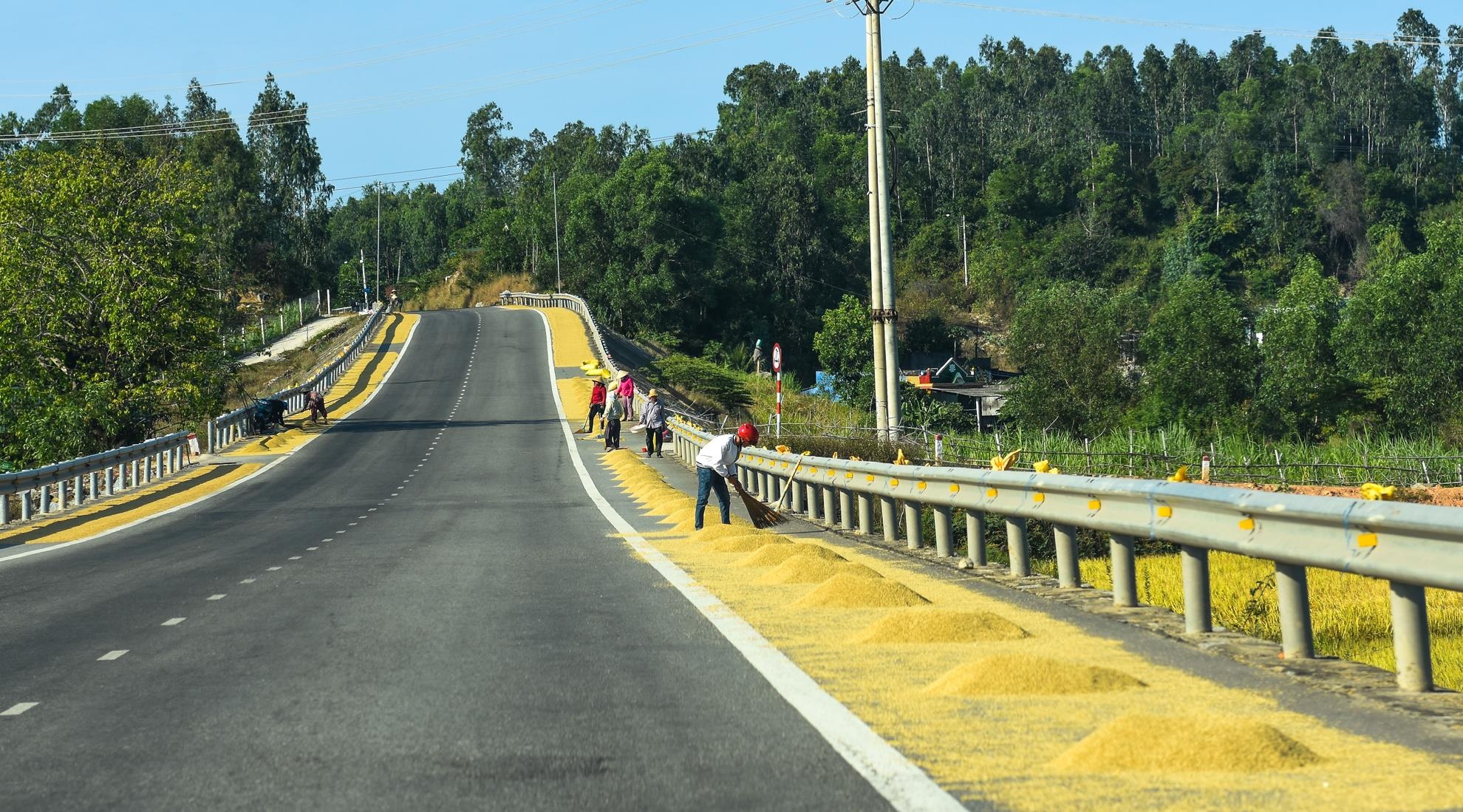 Phoi lua tran lan quoc lo 1a anh 10