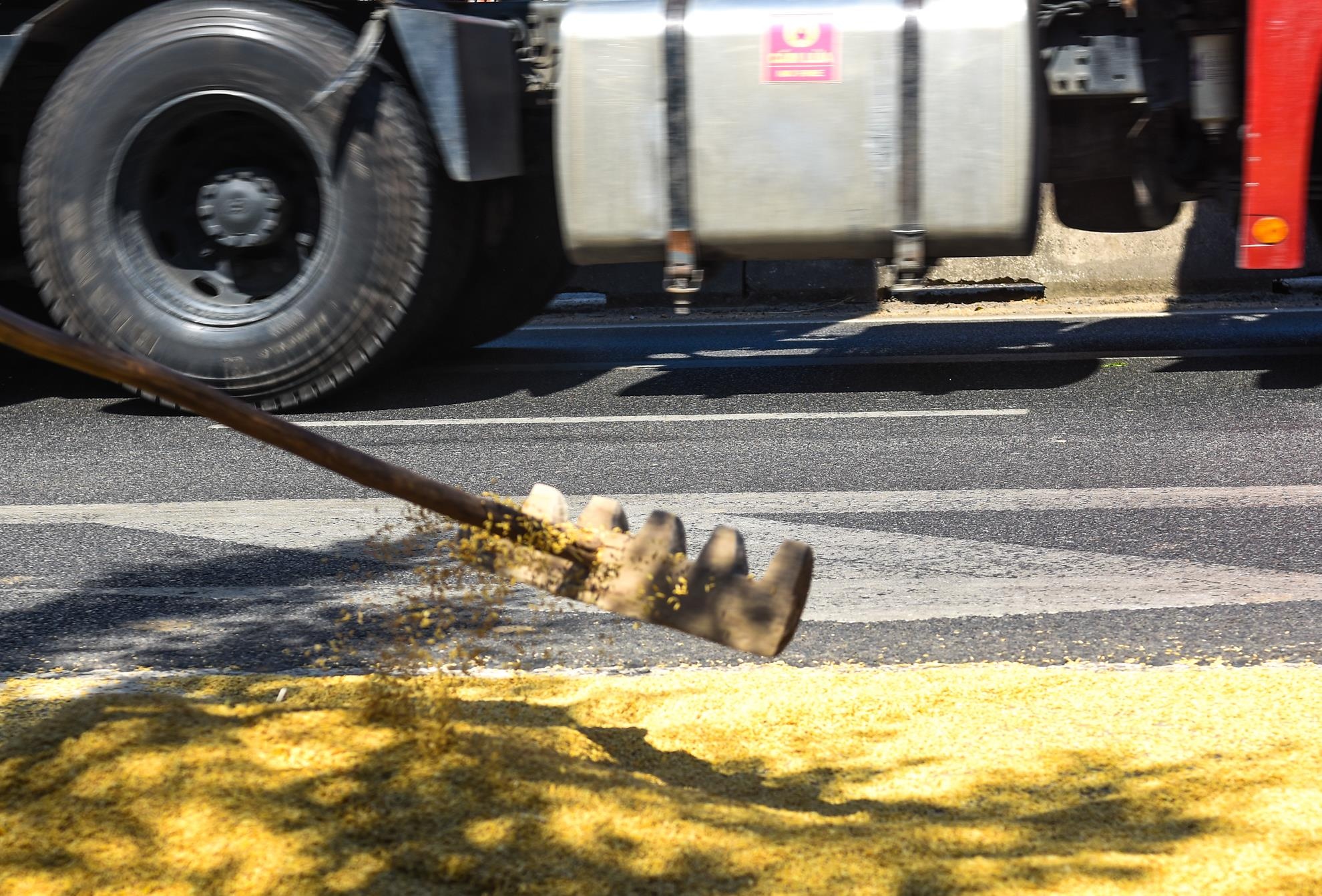 Phoi lua tran lan quoc lo 1a anh 5