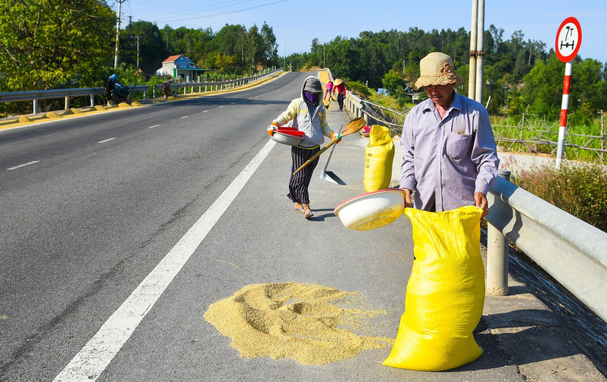 Phoi lua tran lan quoc lo 1a anh 9