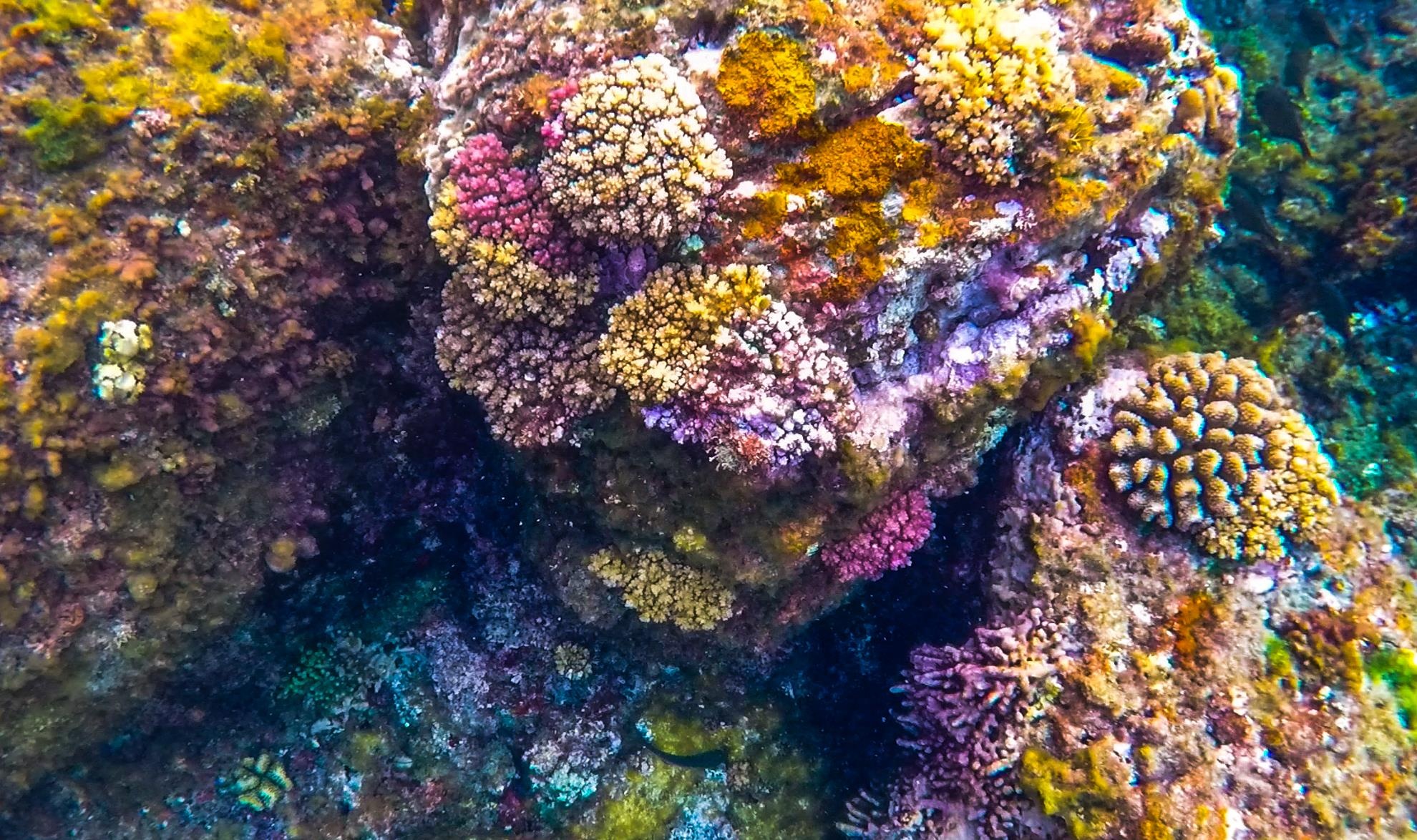 Thien duong dao Be Ly Son anh 9