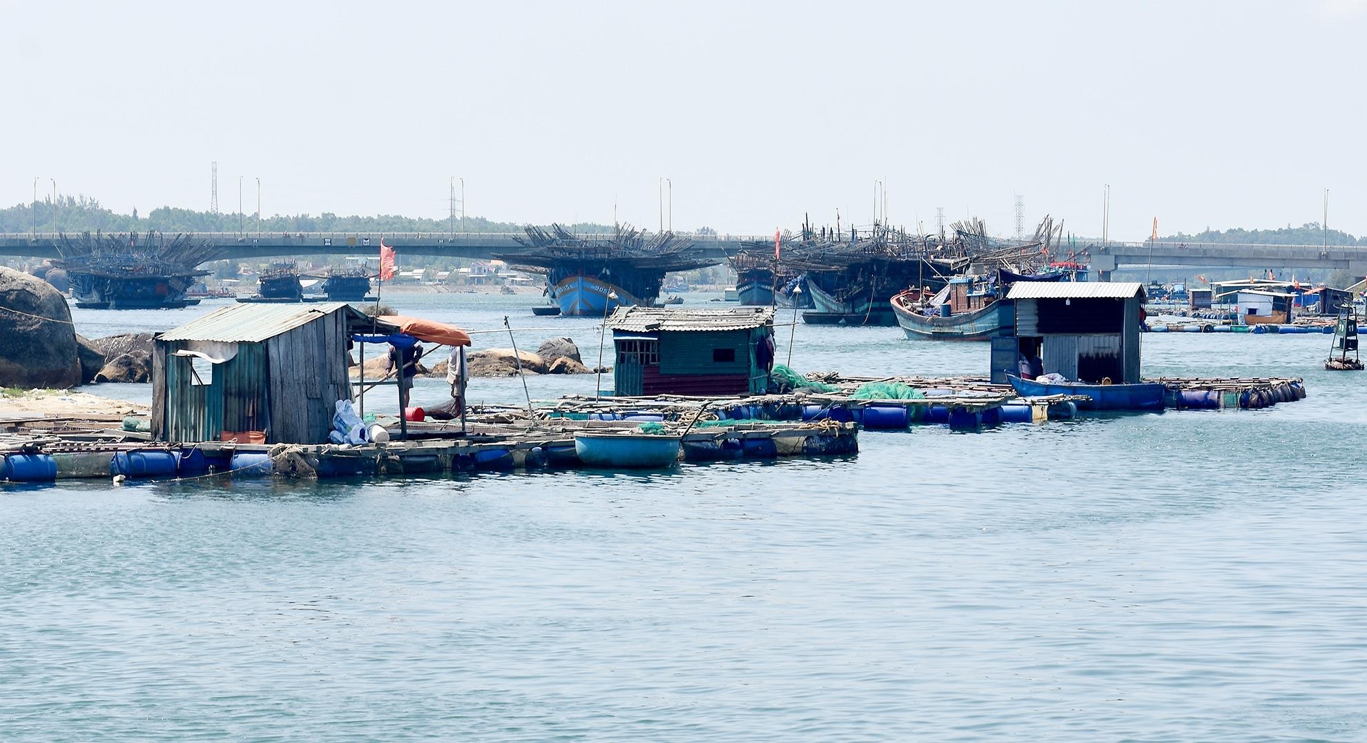 Chi tien ty thao do hang loat long be nuoi thuy san o Dung Quat hinh anh