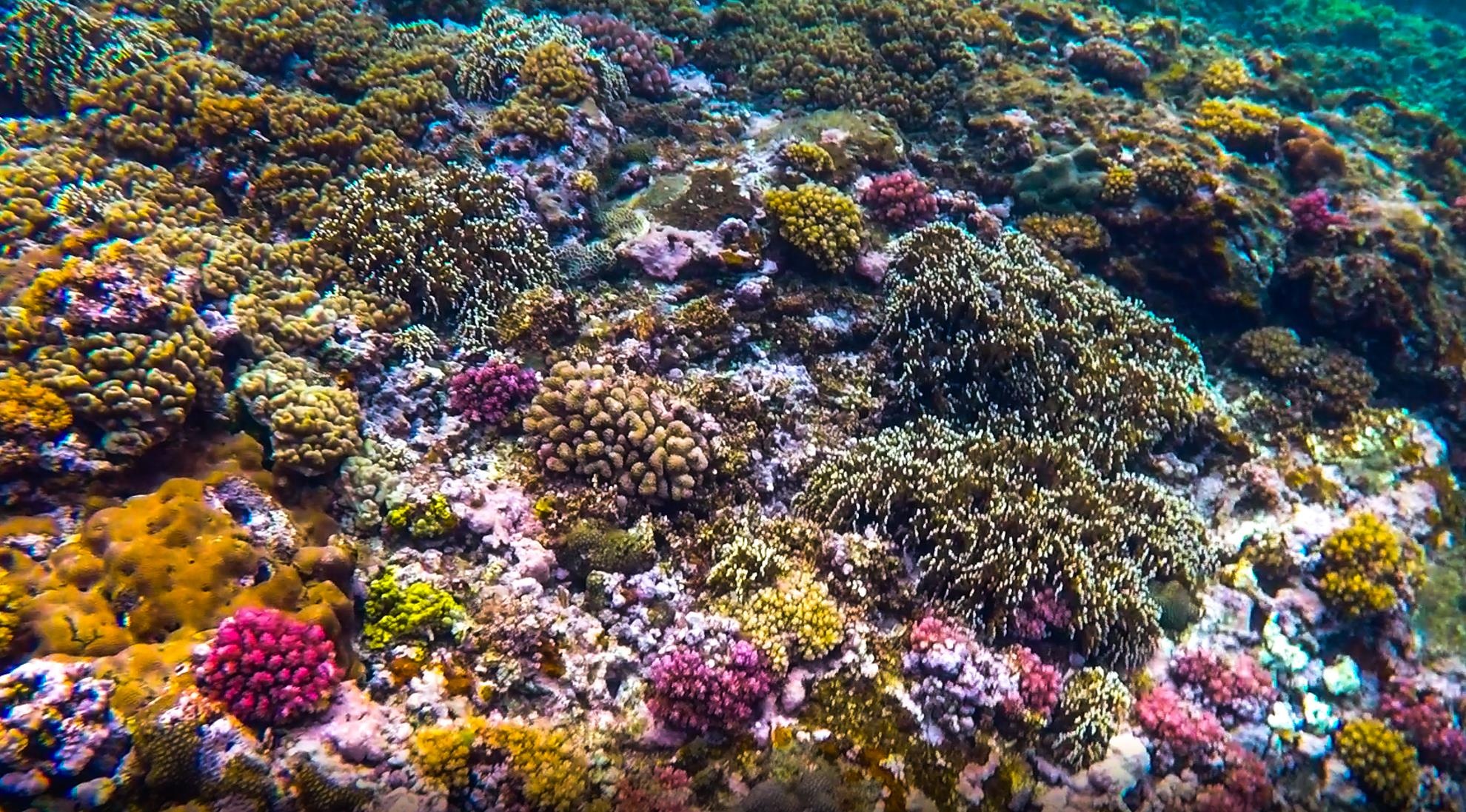 Chang trai tre me du lich anh 11