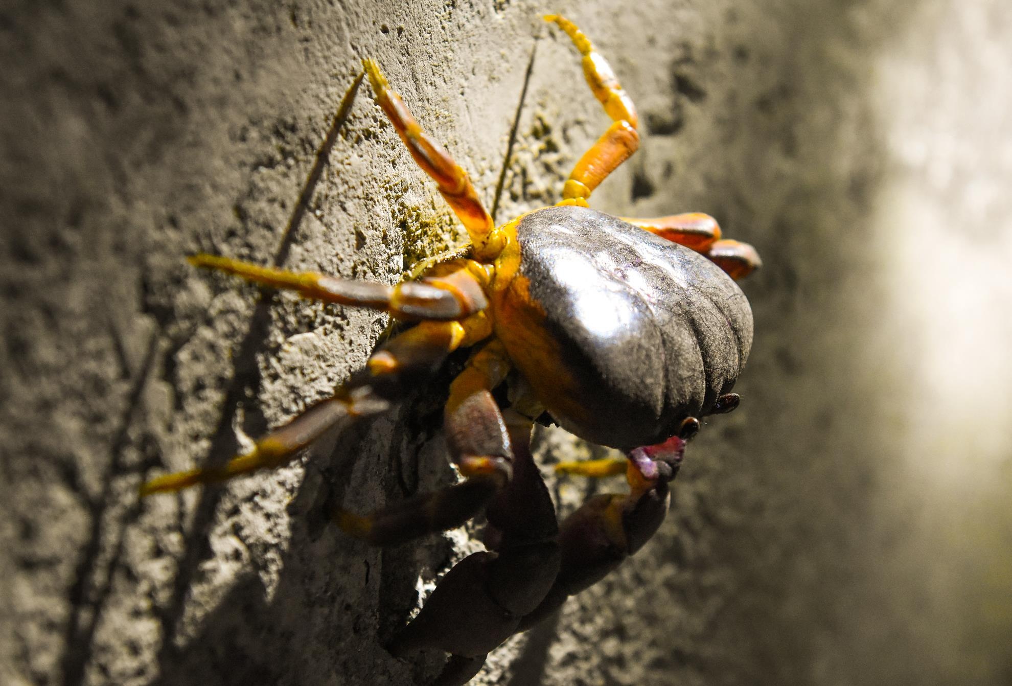 Chang trai tre me du lich anh 15