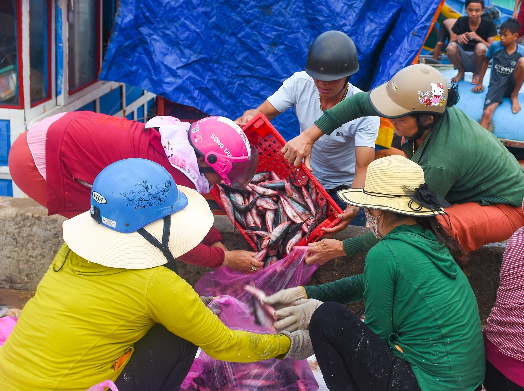 Trung dam ca be Hoang Sa anh 6