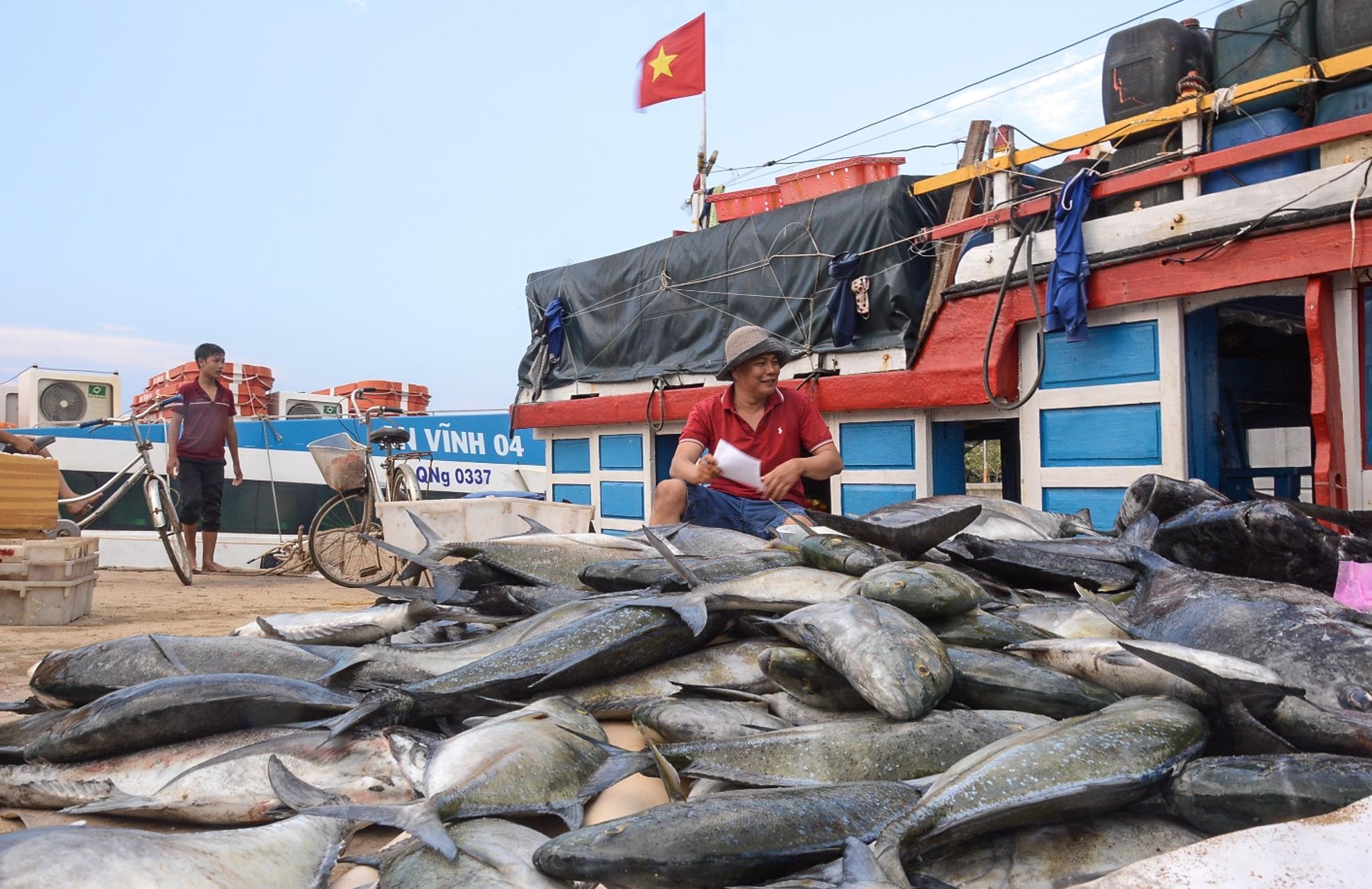 Trung dam ca be Hoang Sa anh 1