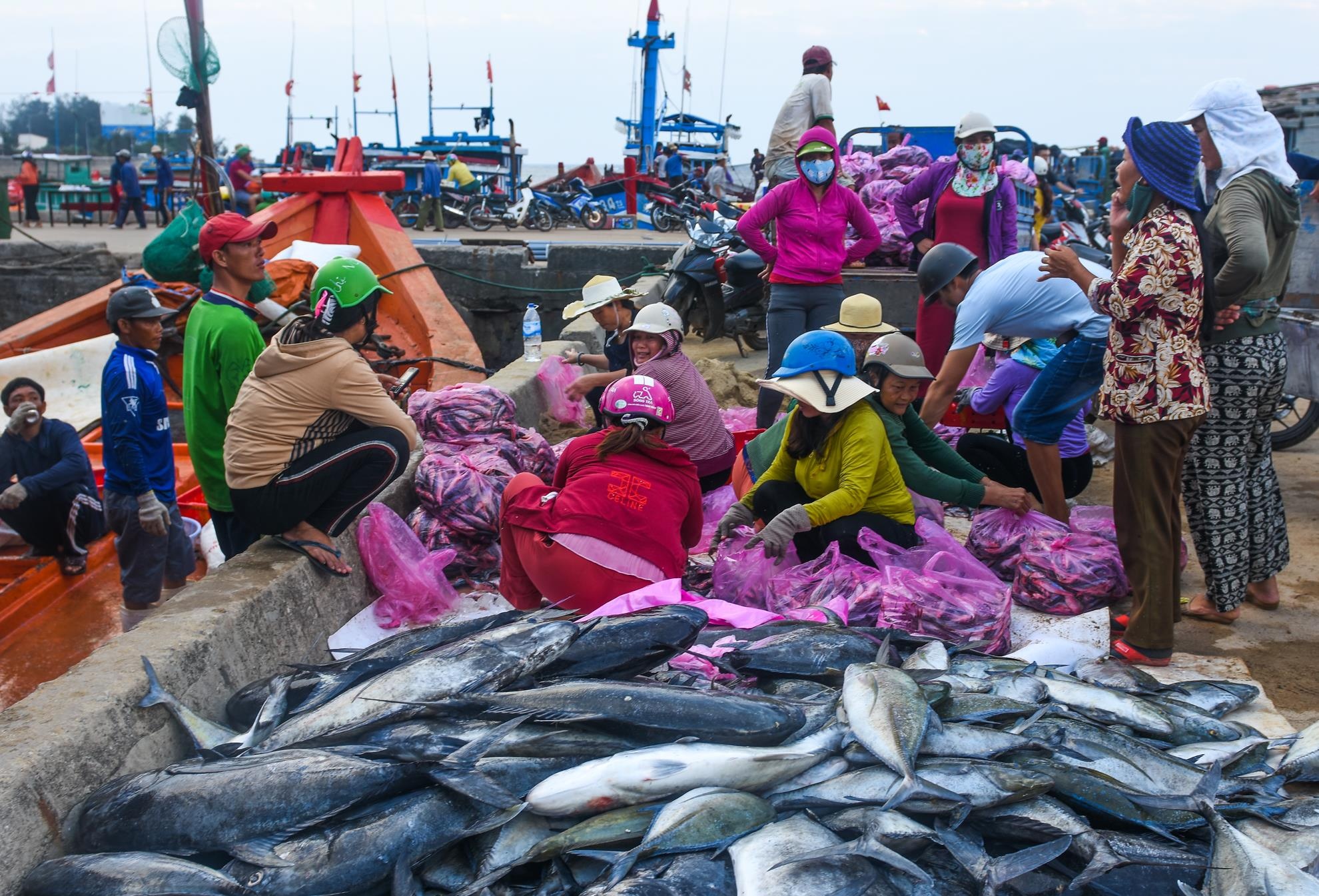 Trung dam ca be Hoang Sa anh 3