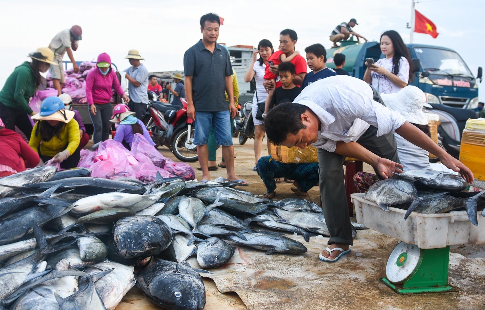 Can canh me ca be, do cu tri gia hon nua ty o cang ca Ly Son hinh anh