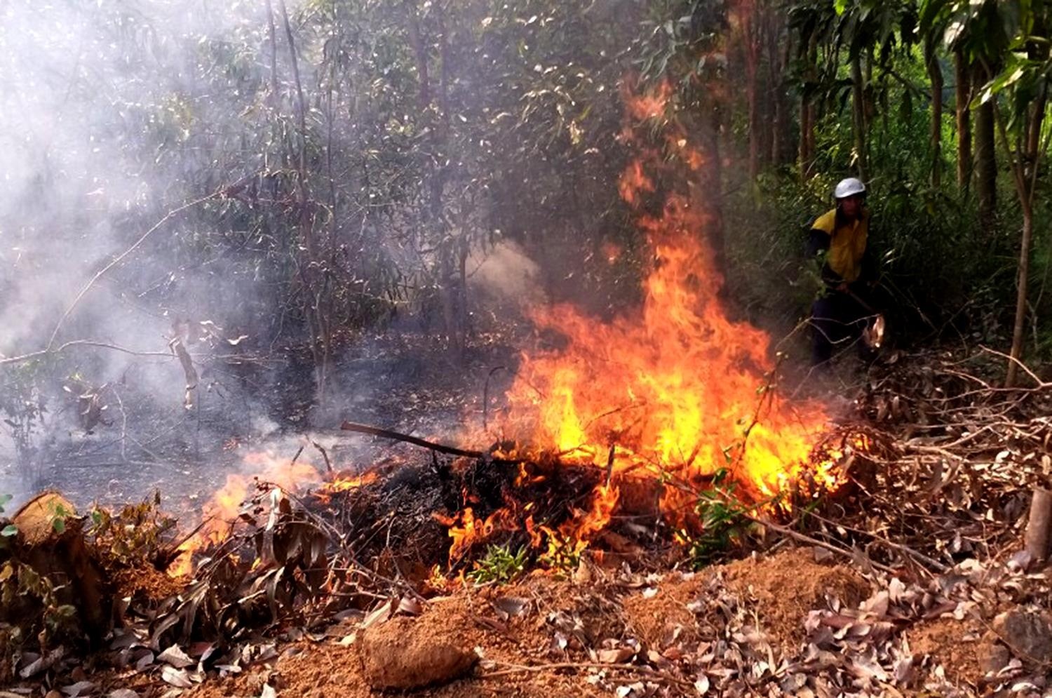 4 ngay xay ra 3 vu chay rung keo, mot nguoi chet hinh anh