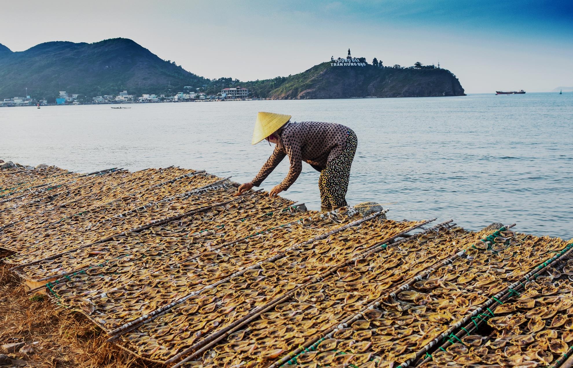 Xu ly lan bien Quy Nhon anh 6