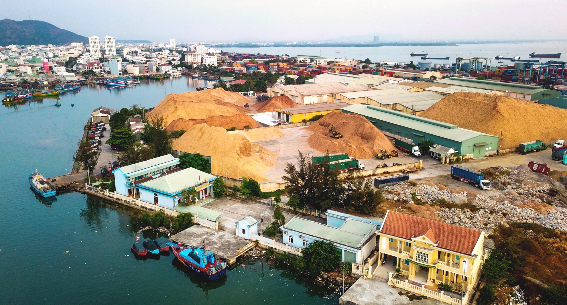 Sai pham o cang Quy Nhon anh 11