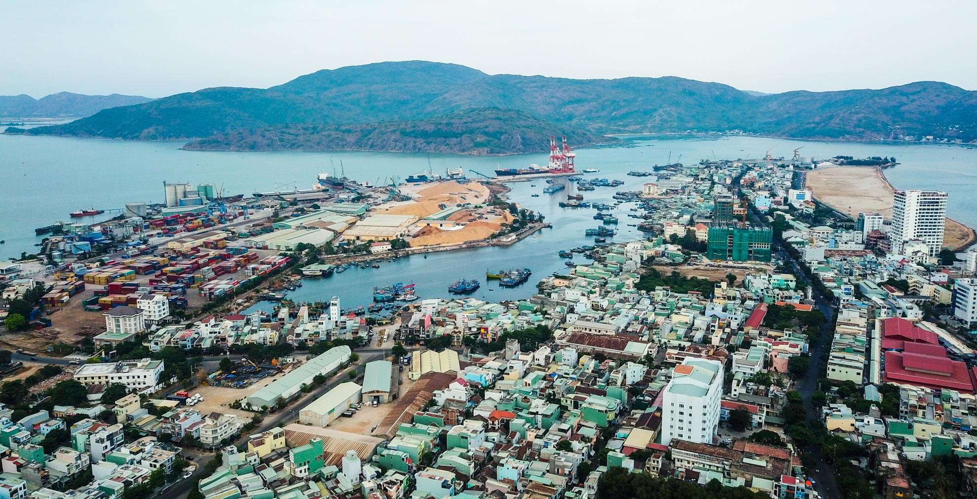 Sai pham o cang Quy Nhon anh 1