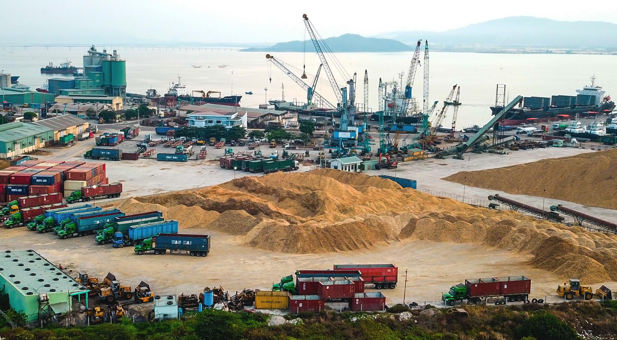 Sai pham o cang Quy Nhon anh 5