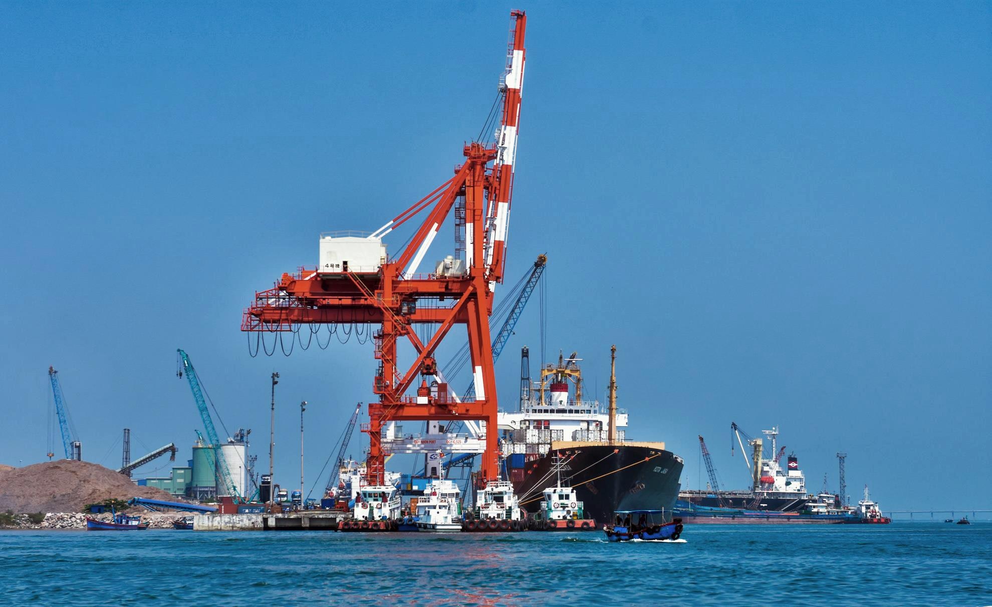 Sai pham o cang Quy Nhon anh 4