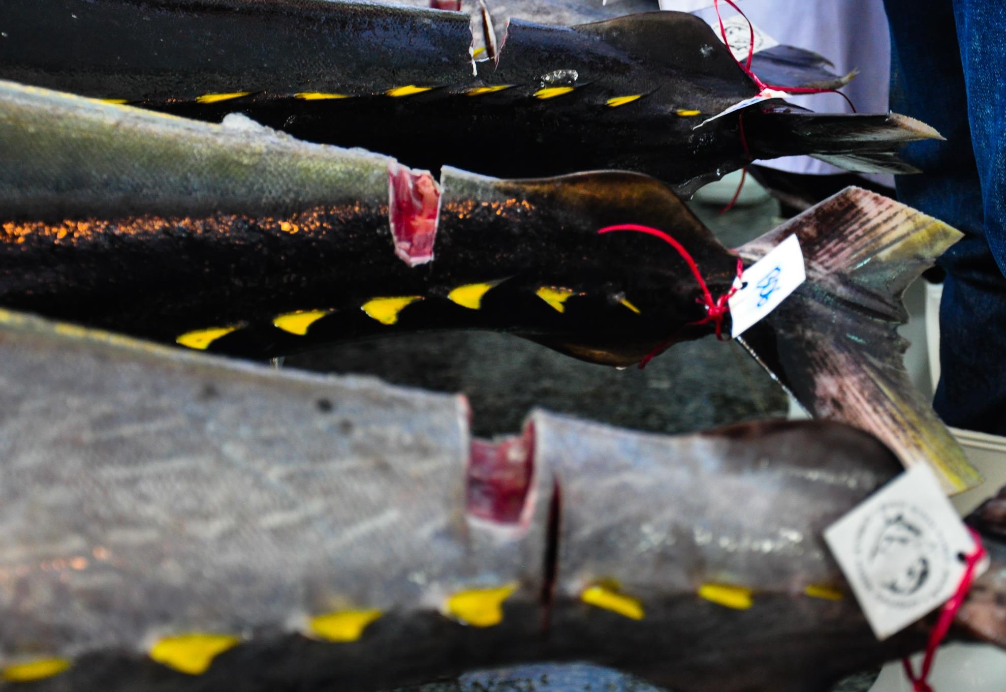 Lang cau ca ngu dai duong Binh Dinh anh 10