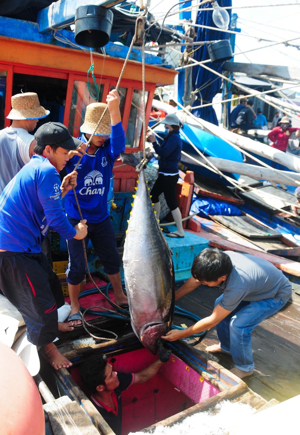 Lang cau ca ngu dai duong Binh Dinh anh 3
