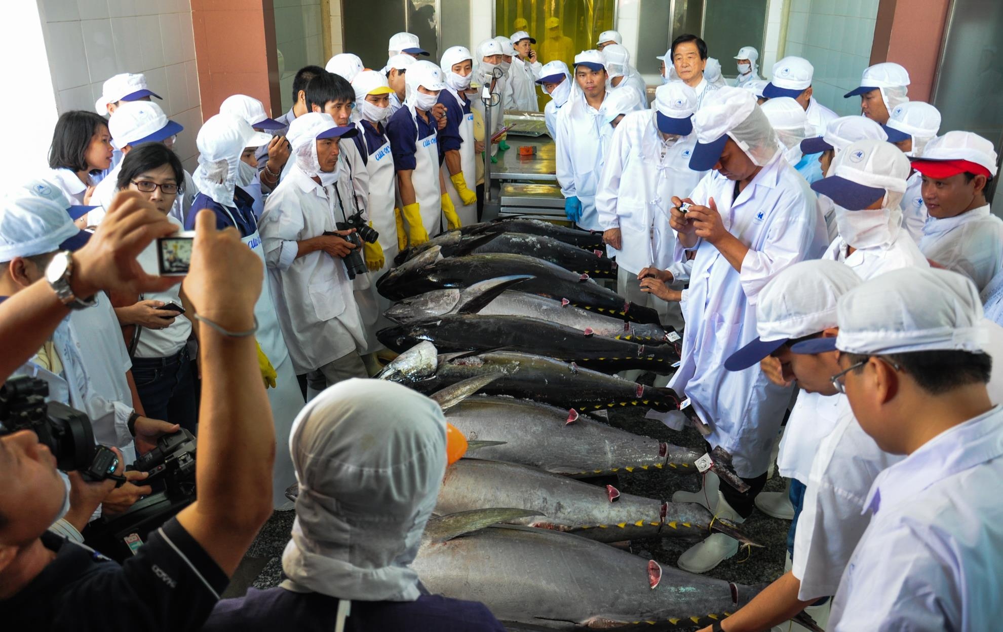 Lang cau ca ngu dai duong Binh Dinh anh 9