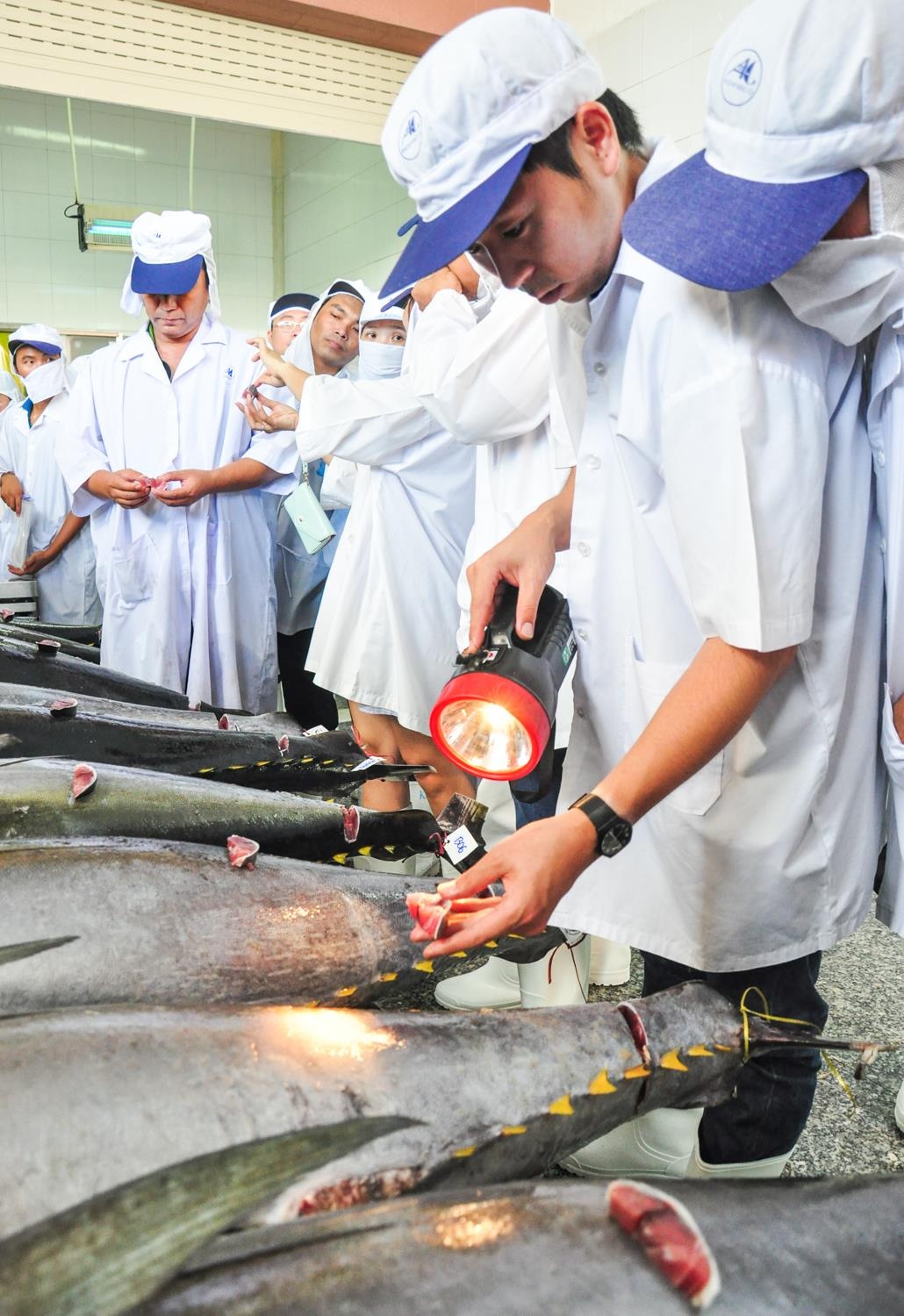 Lang cau ca ngu dai duong Binh Dinh anh 11
