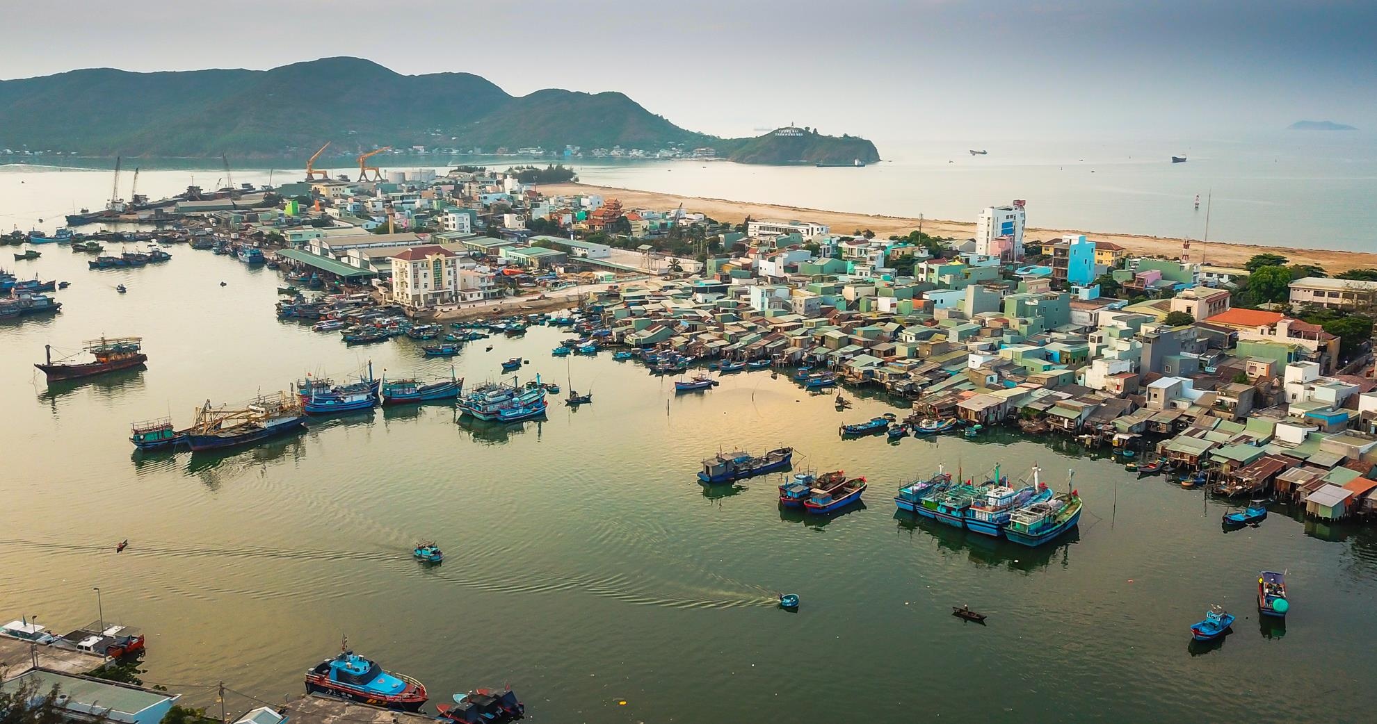 Chao lua hap ca Binh Dinh anh 1