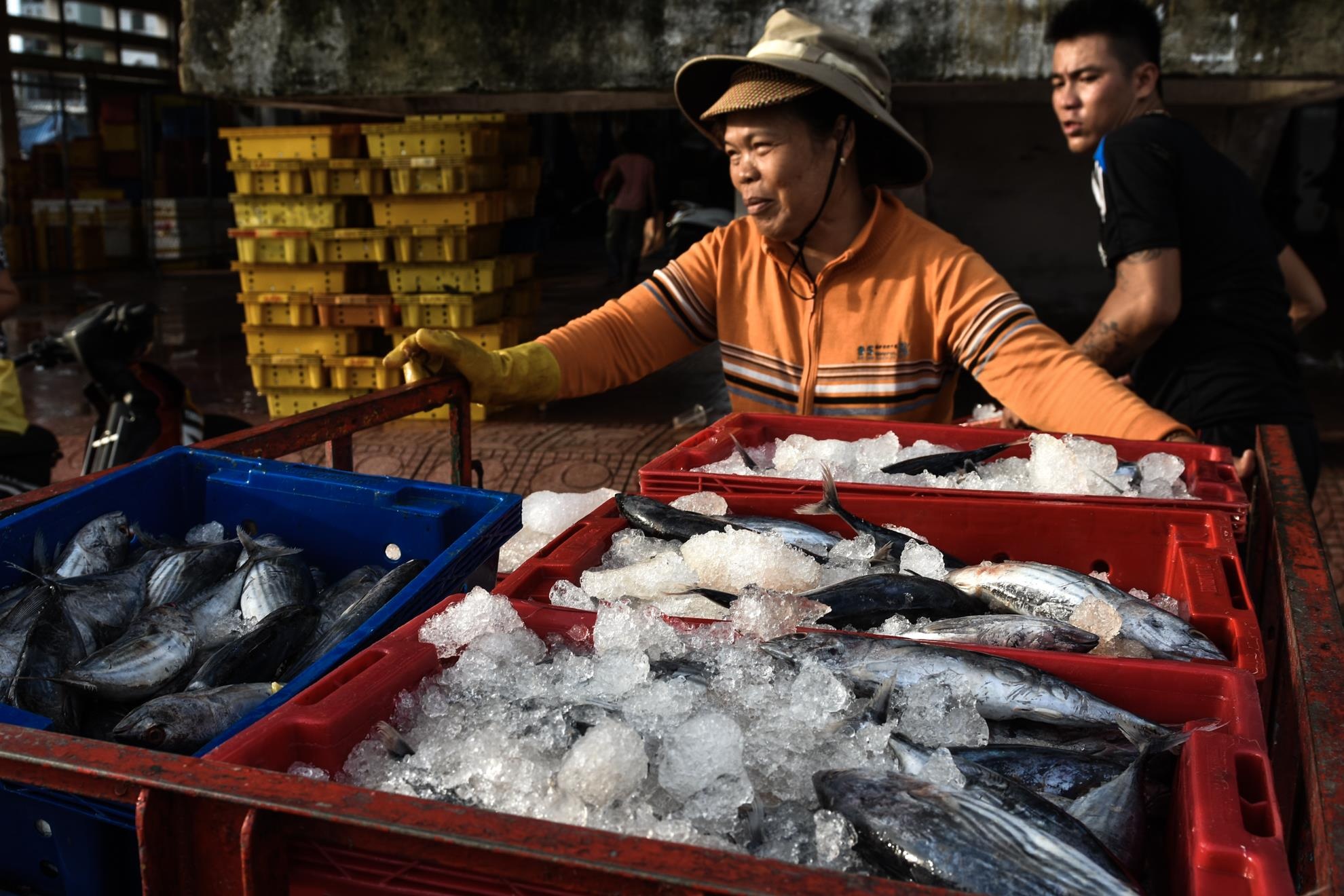 Chao lua hap ca Binh Dinh anh 2