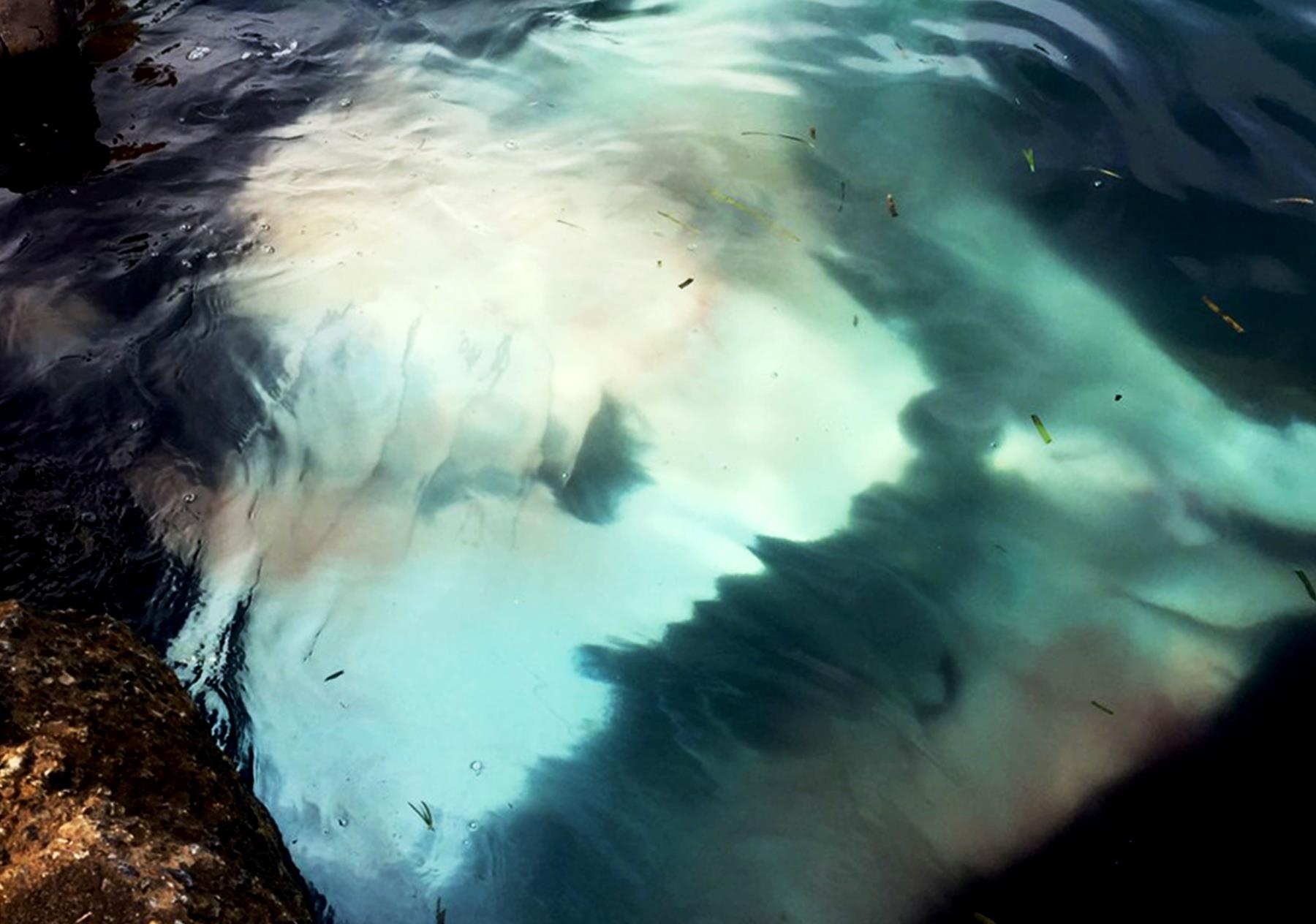 Cá đuối nửa tấn Lý Sơn ảnh 1 Ca duoi nua tan Ly Son anh 1