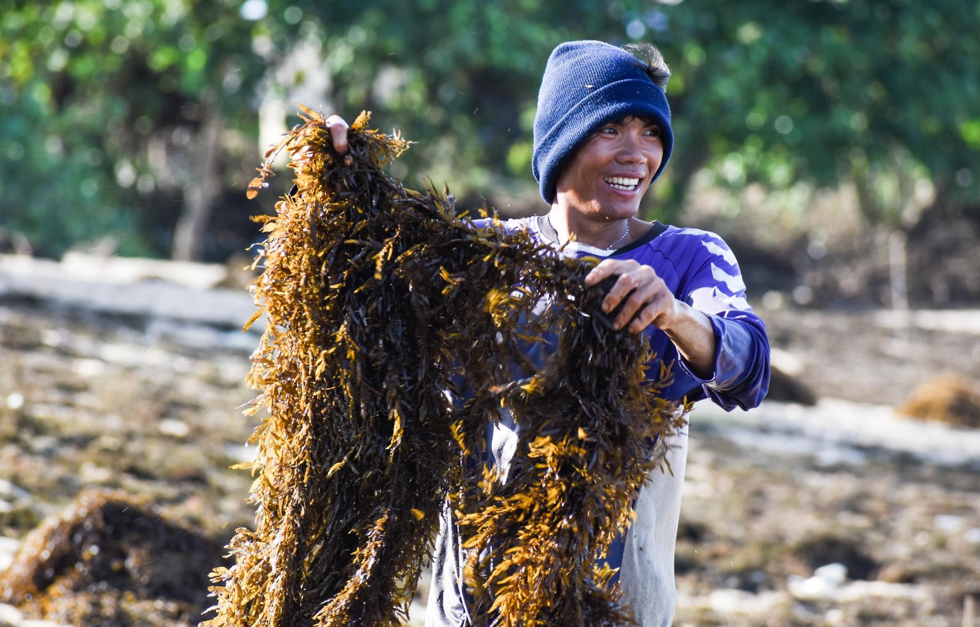 Dan Quang Ngai do xo khai thac rong mo ban sang Trung Quoc hinh anh