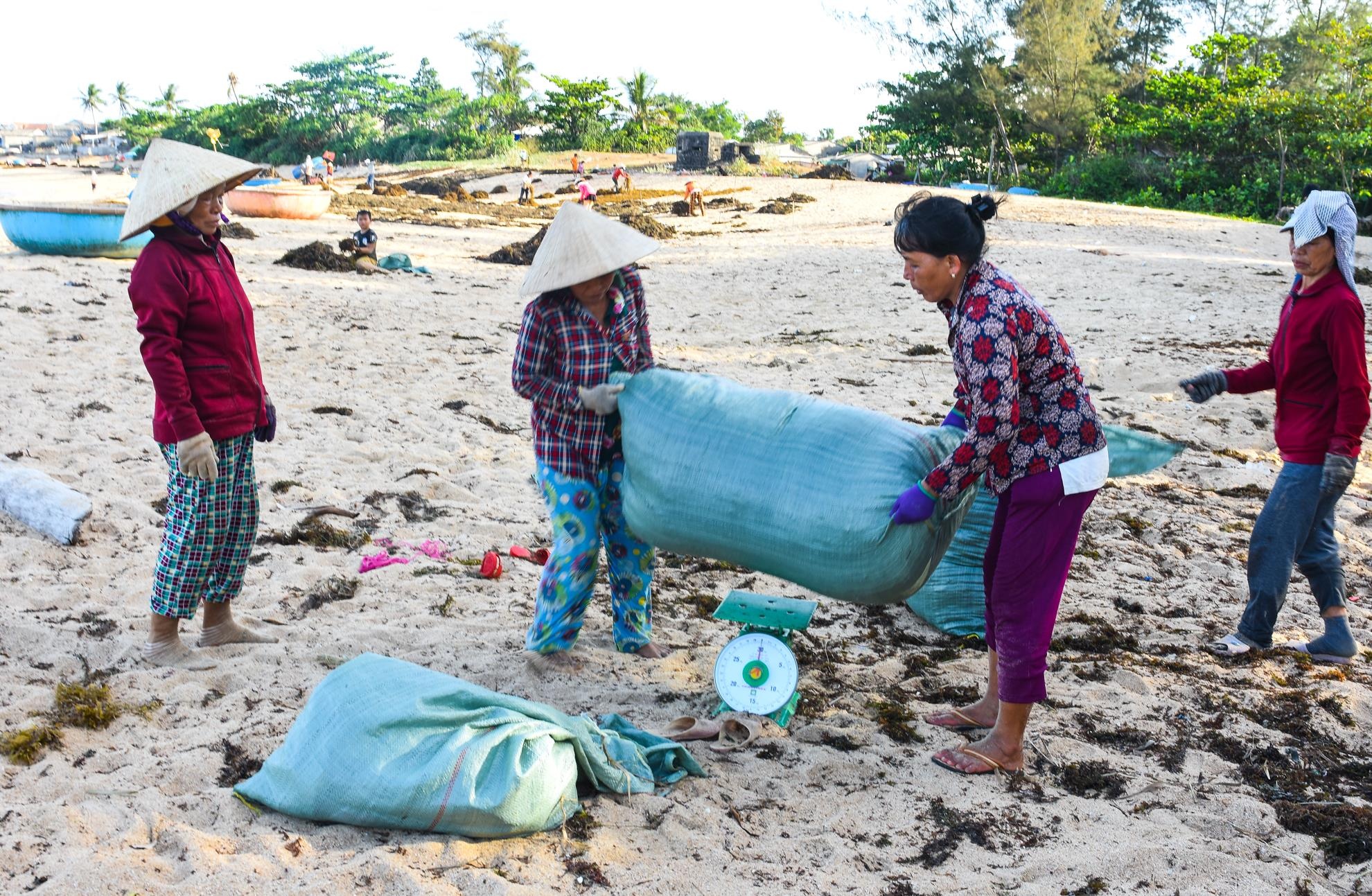 Khai thac rong mo Quang Ngai anh 3