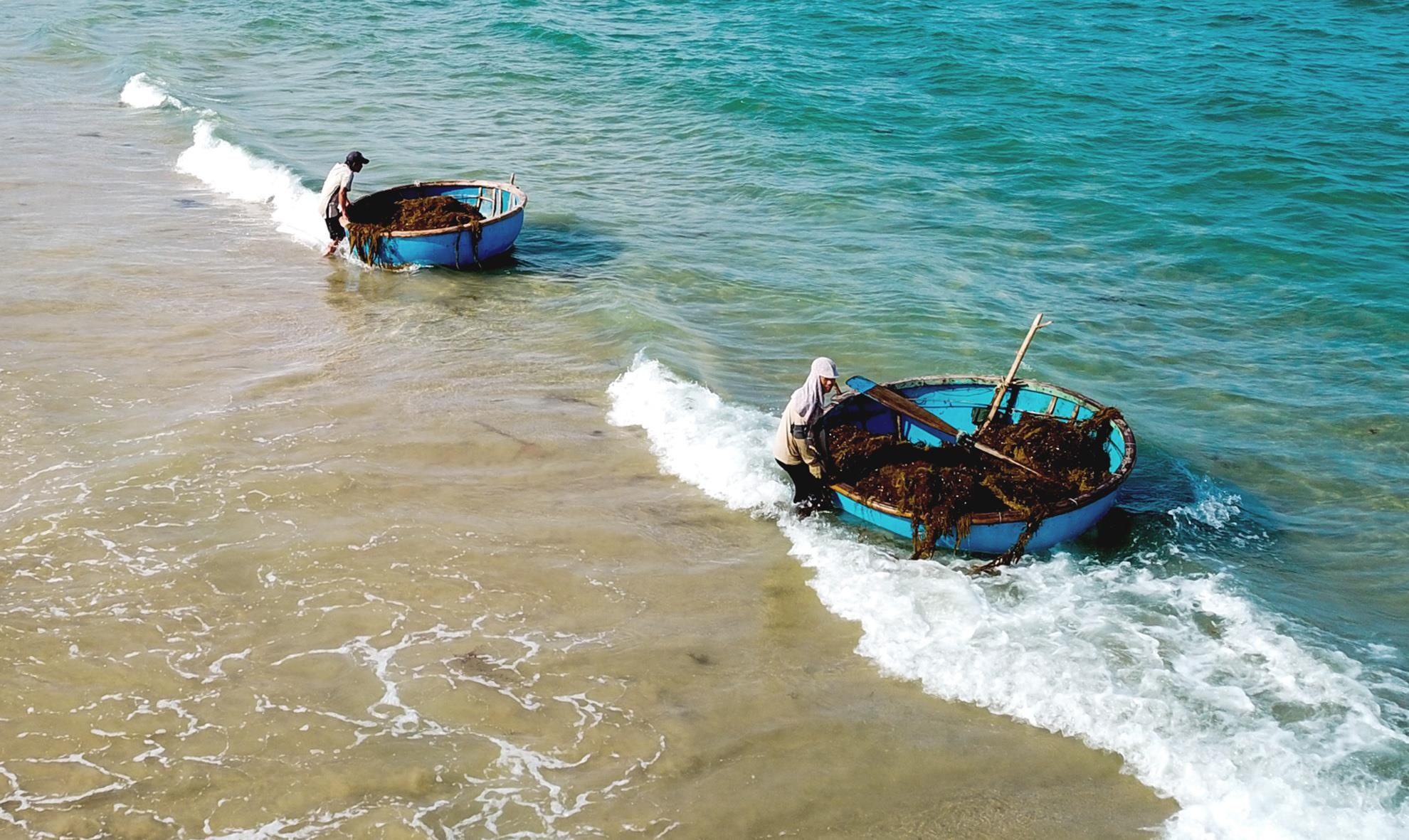 Khai thac rong mo Quang Ngai anh 1