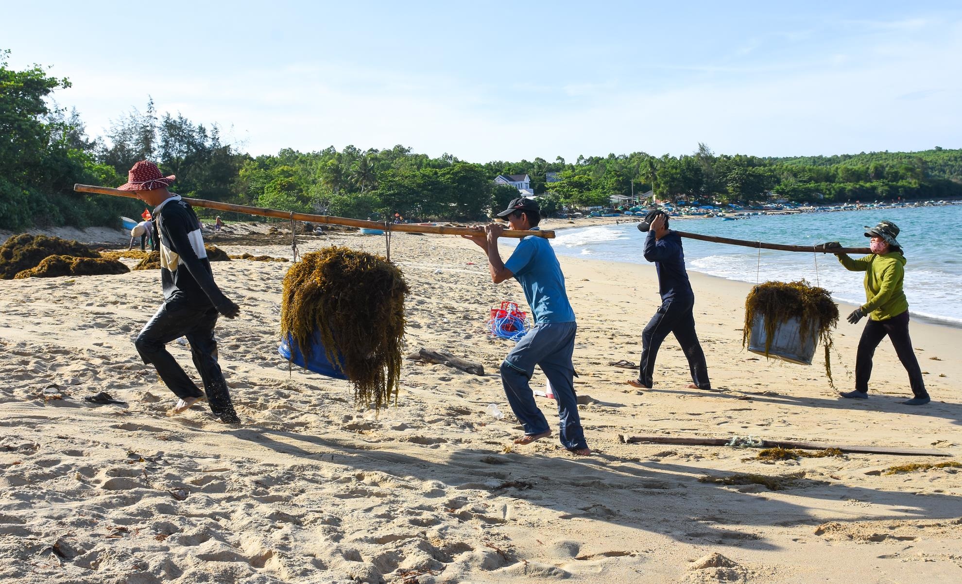Khai thac rong mo Quang Ngai anh 2