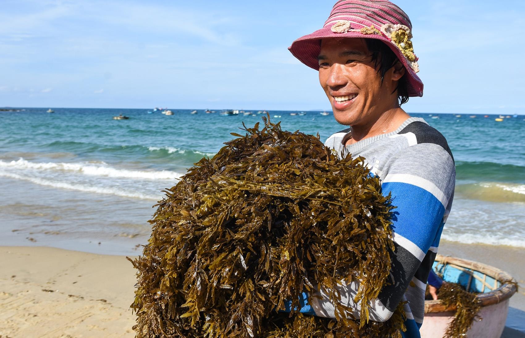 Dan Quang Ngai kiem tien trieu moi ngay tu rong bien hinh anh