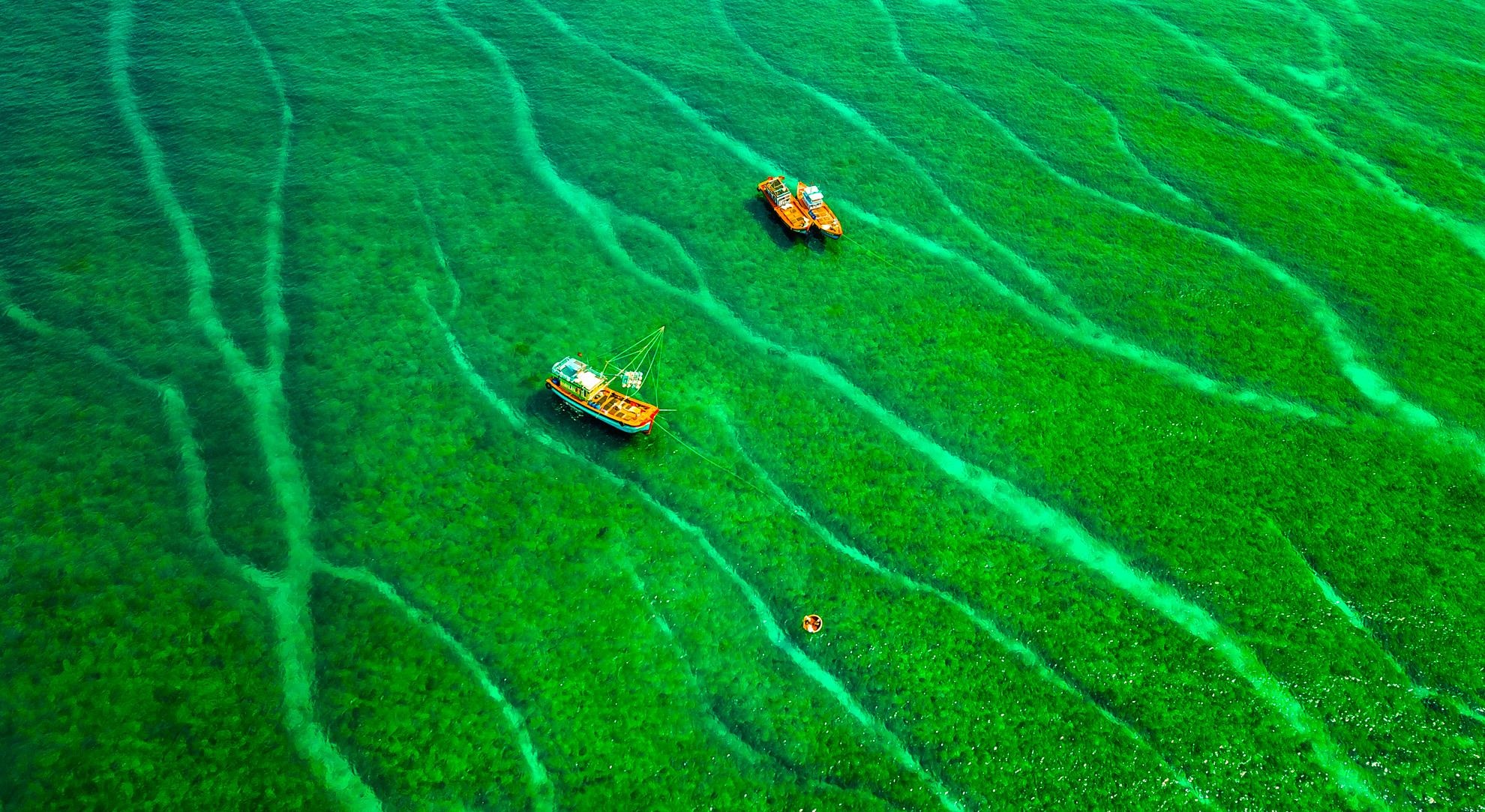 Di san dia chat Ly Son anh 2