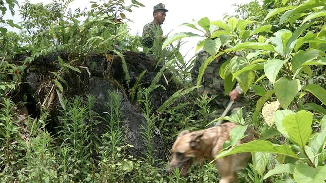 Tim thay thi the can bo kiem lam sau 5 ngay mat tich trong rung hinh anh