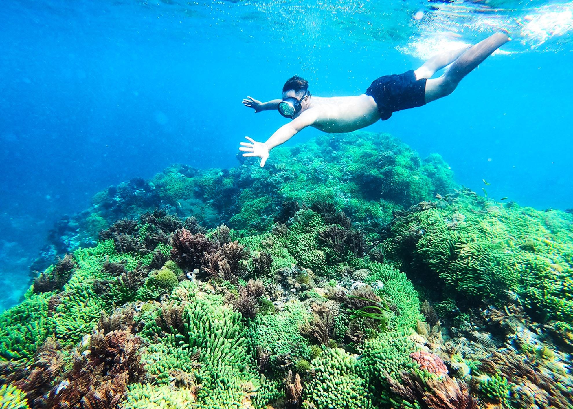 Dao thien duong o Ly Son anh 10