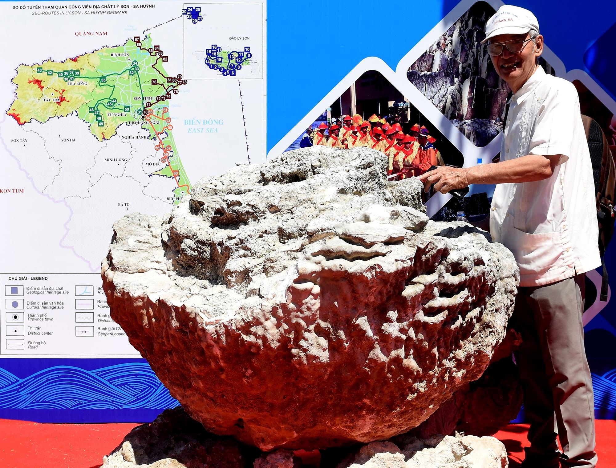 San hô hóa thạch hoa hồng ảnh 1 San ho hoa thach hoa hong anh 1