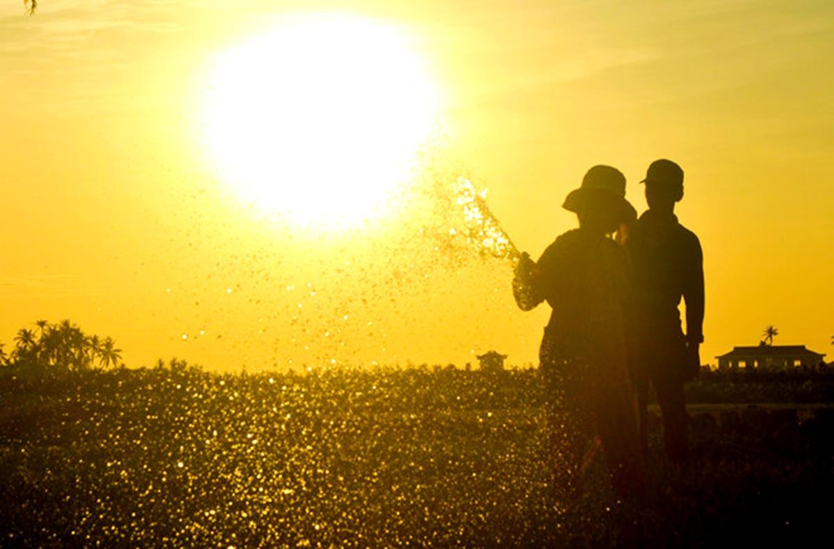 Bac Bo va Trung Bo nang nong ky luc, co noi tren 40 do C hinh anh