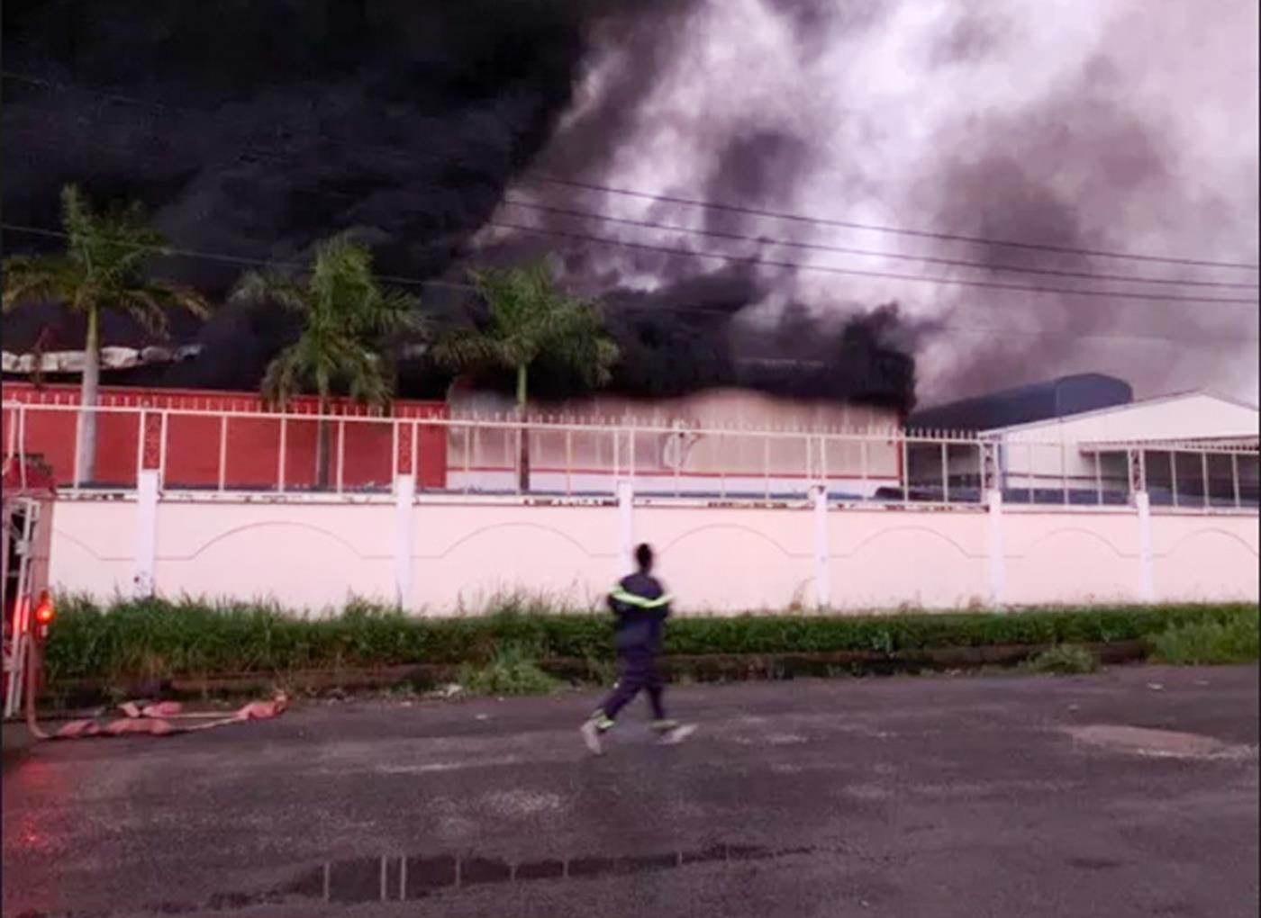 Hoa hoan tiem vo com hop anh 1