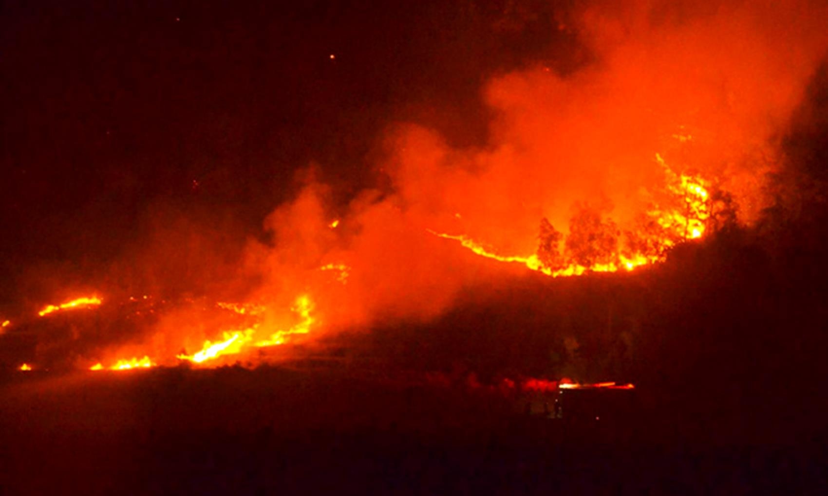 Rung keo o Quang Nam, Quang Ngai boc chay du doi hinh anh