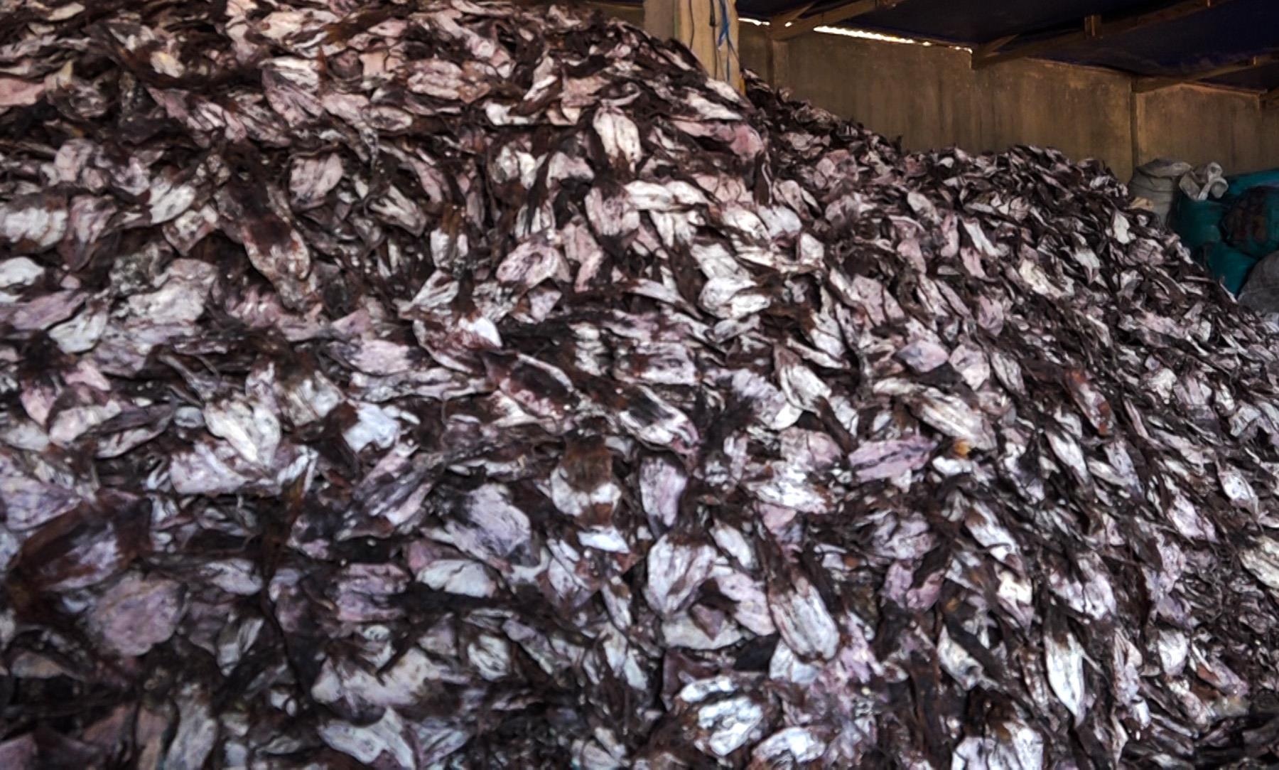 Hang nghin tan muc ton kho anh 1